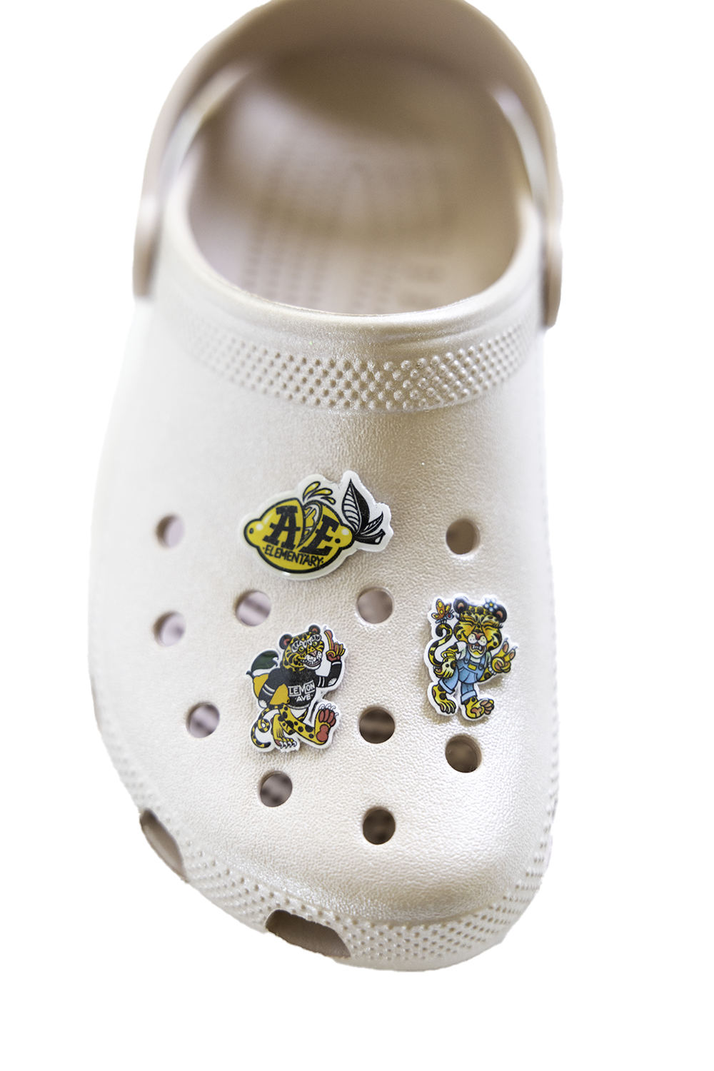 Spirit Shoe Charm