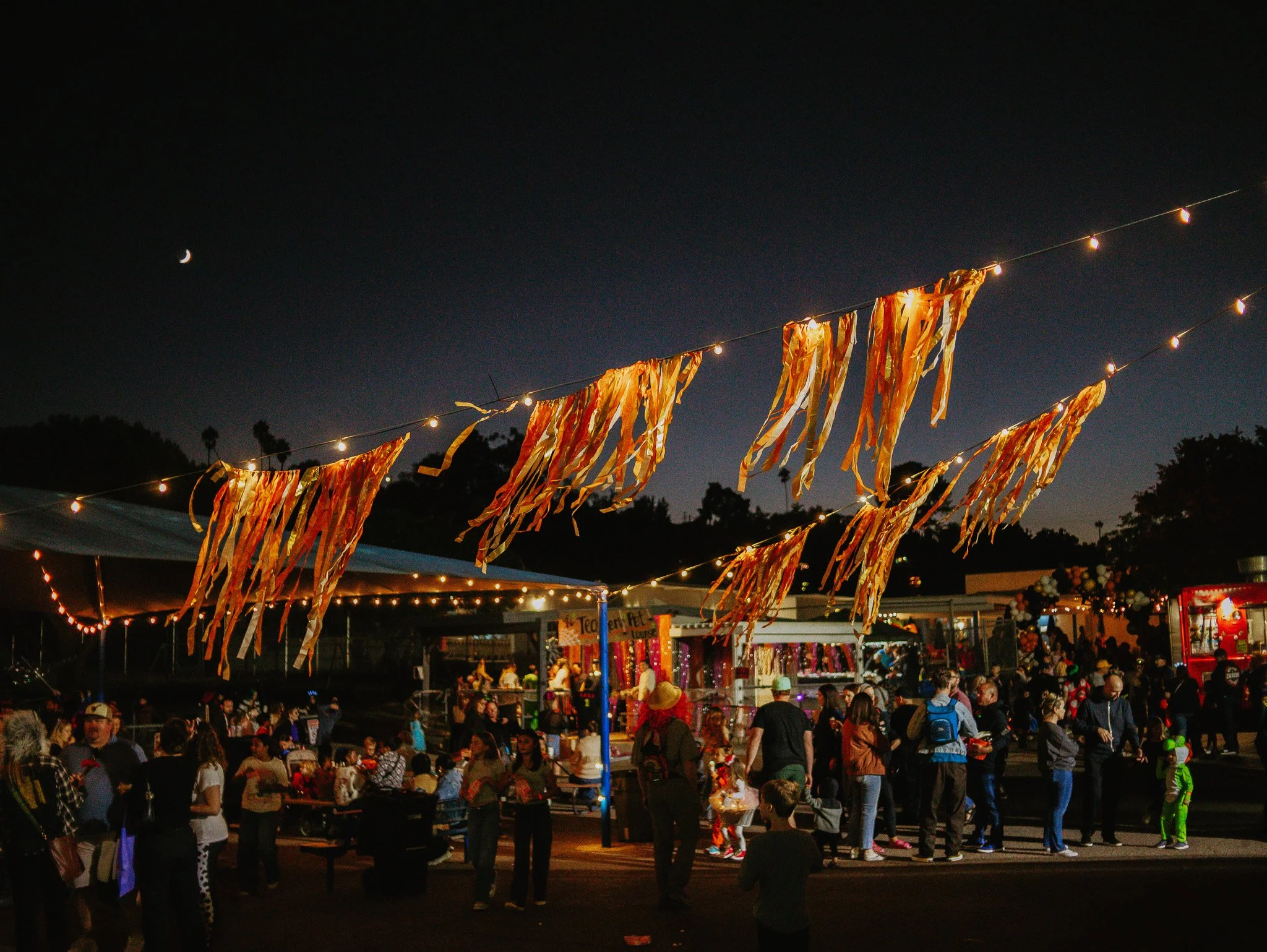 Fall Carnival Wristband - 2026