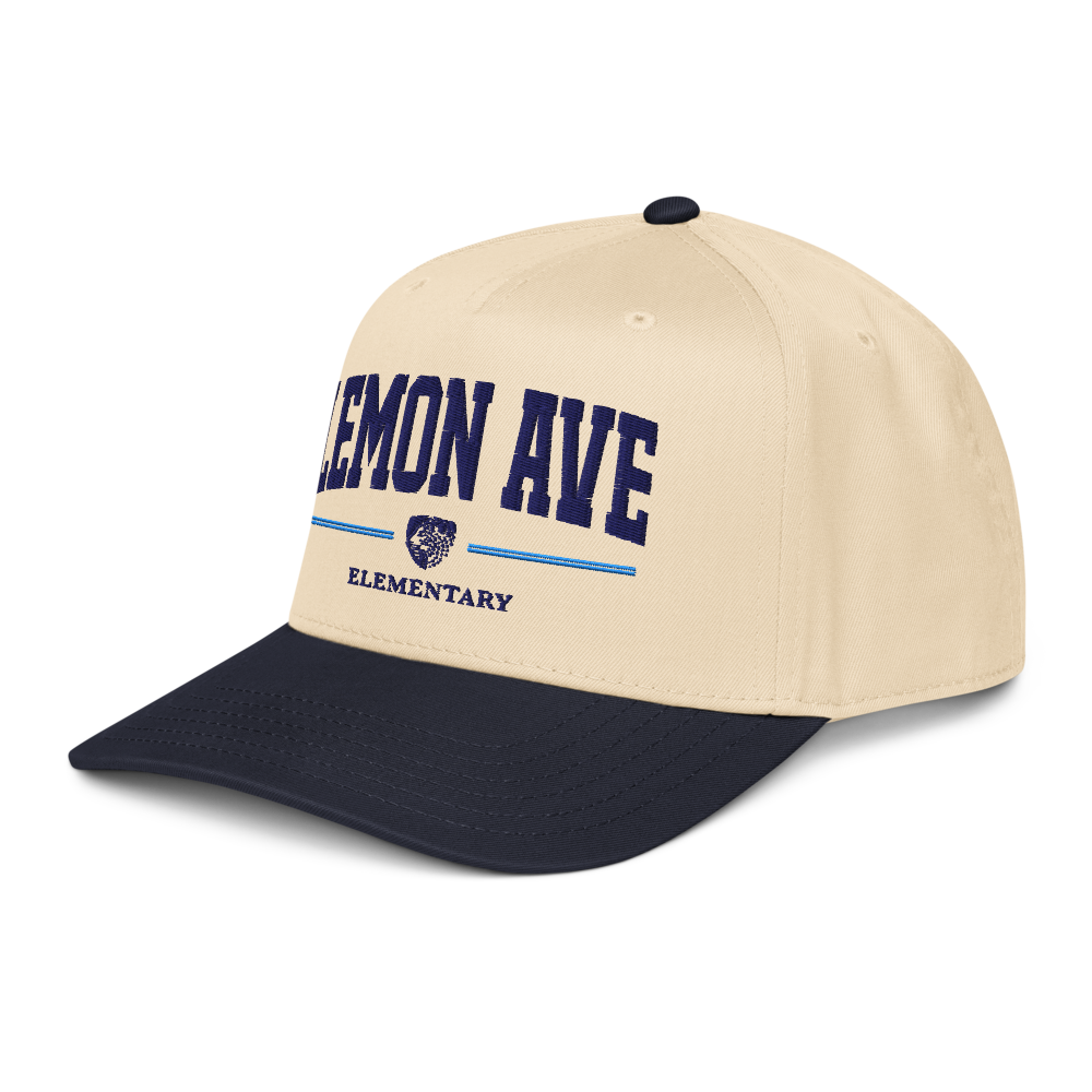 5-panel-mid-profile-baseball-cap-navy-natural-left-front-6a67f91978a49.png