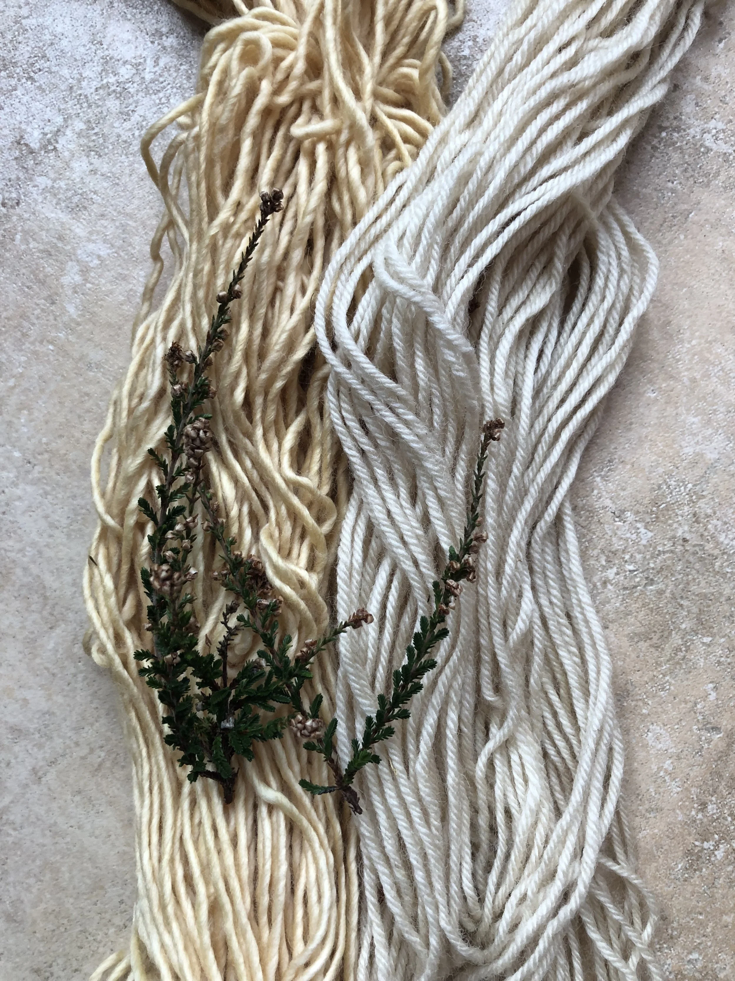 IMG_8762.jpg