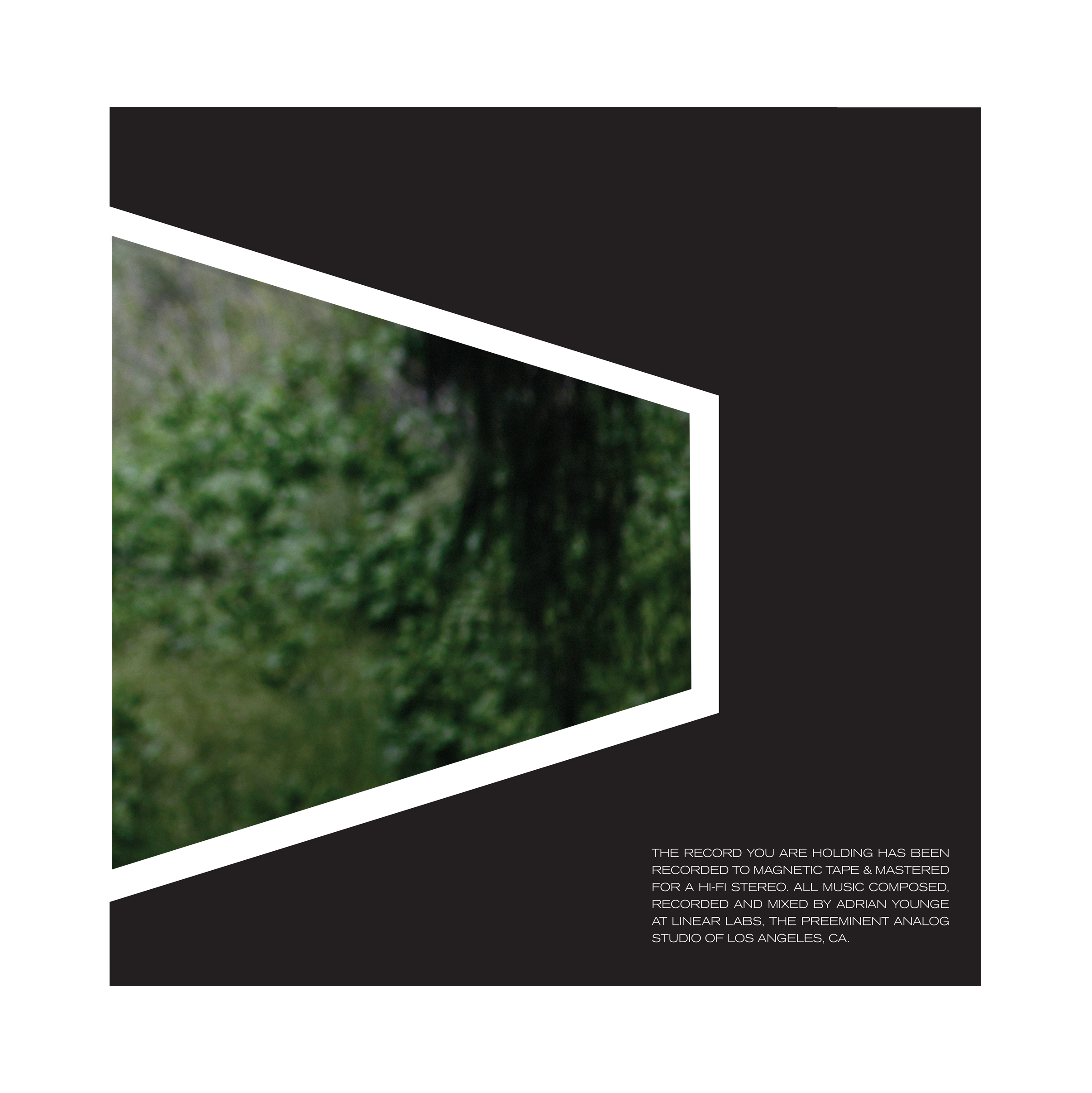 4 LL 015 Mock Back Die cut.png