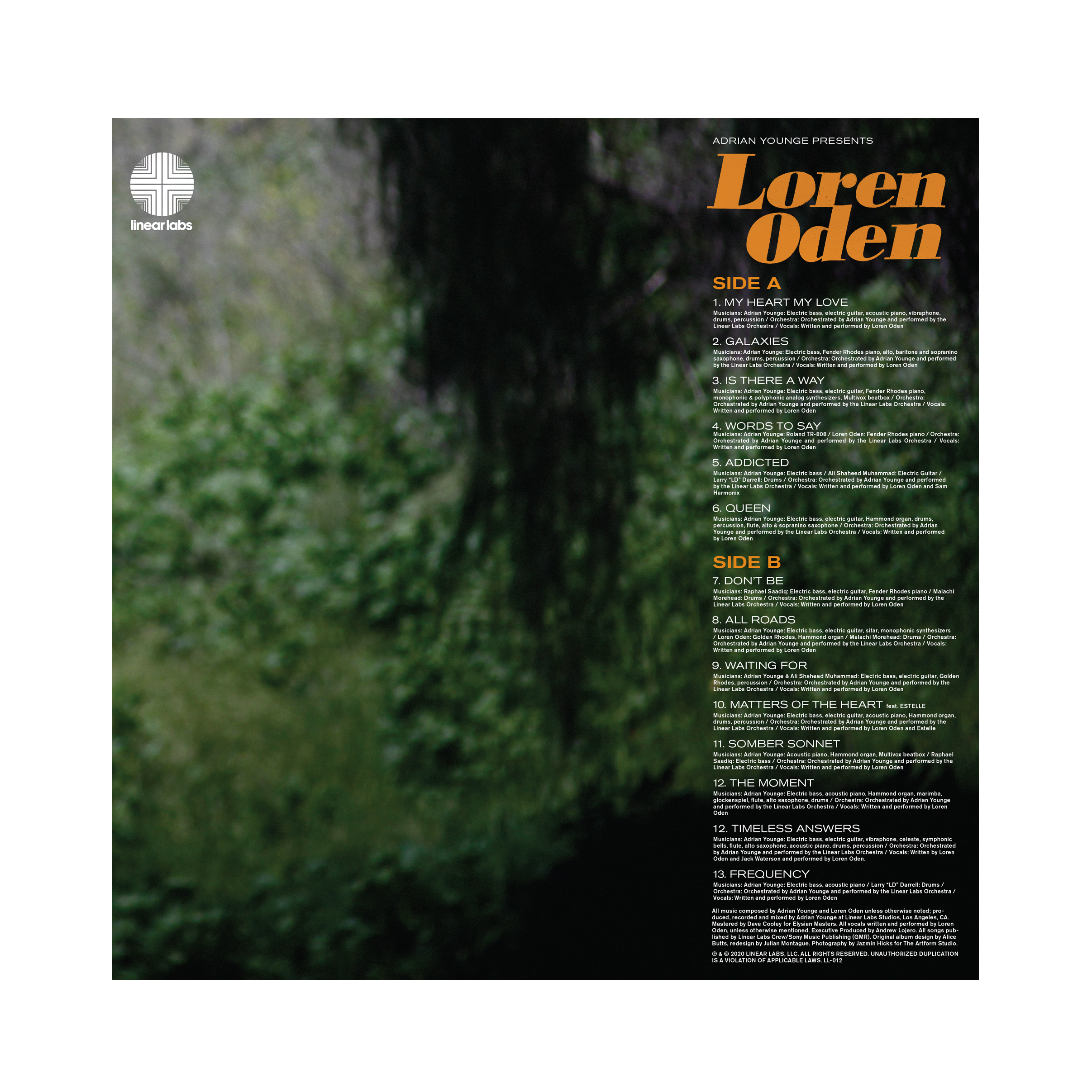 6 LL 015 Mock Back.png