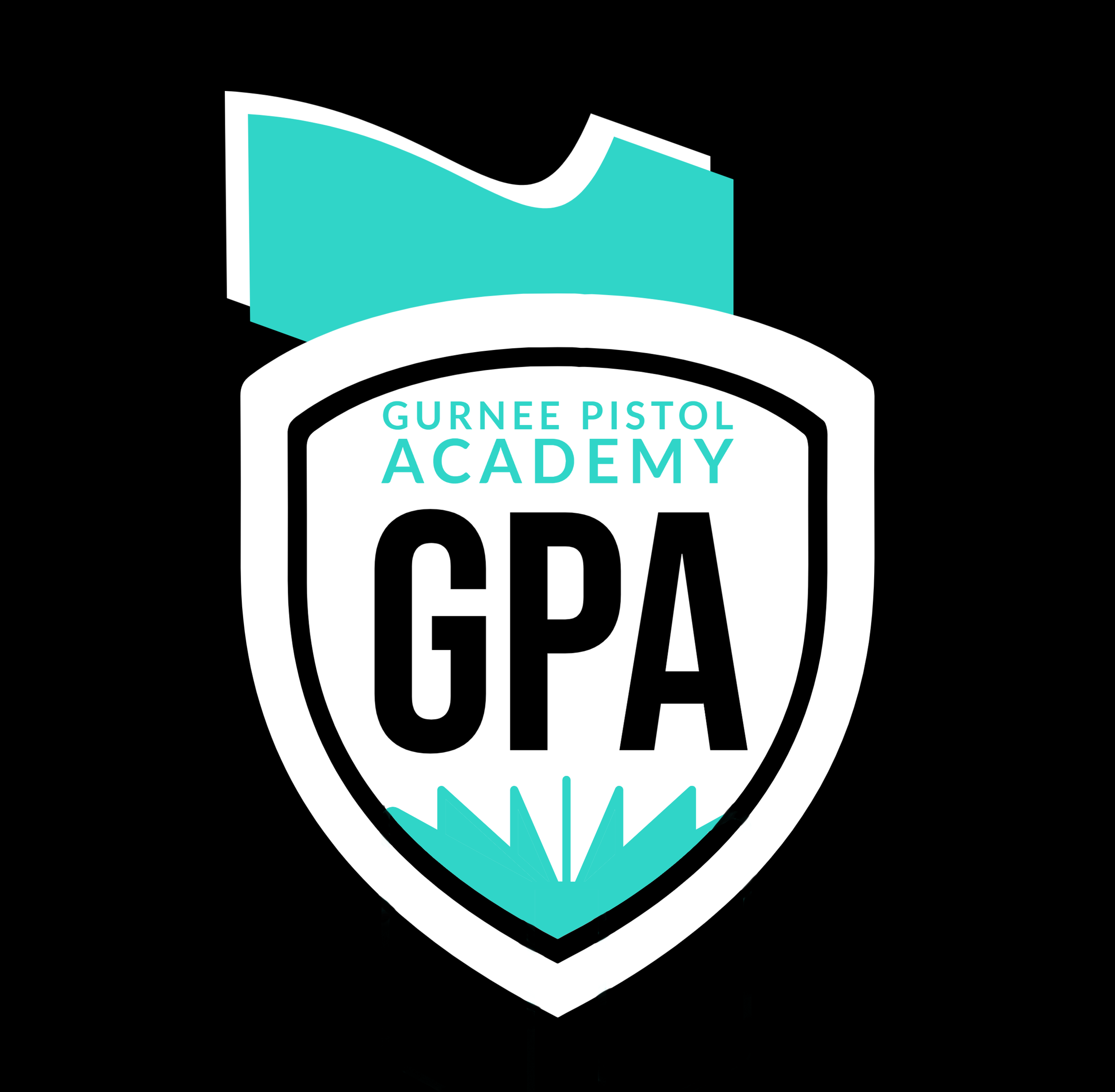 NRA Range Safety Officer Course (8 HRS), image size:2500x2449