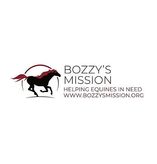 Bozzy&#39;s Mission