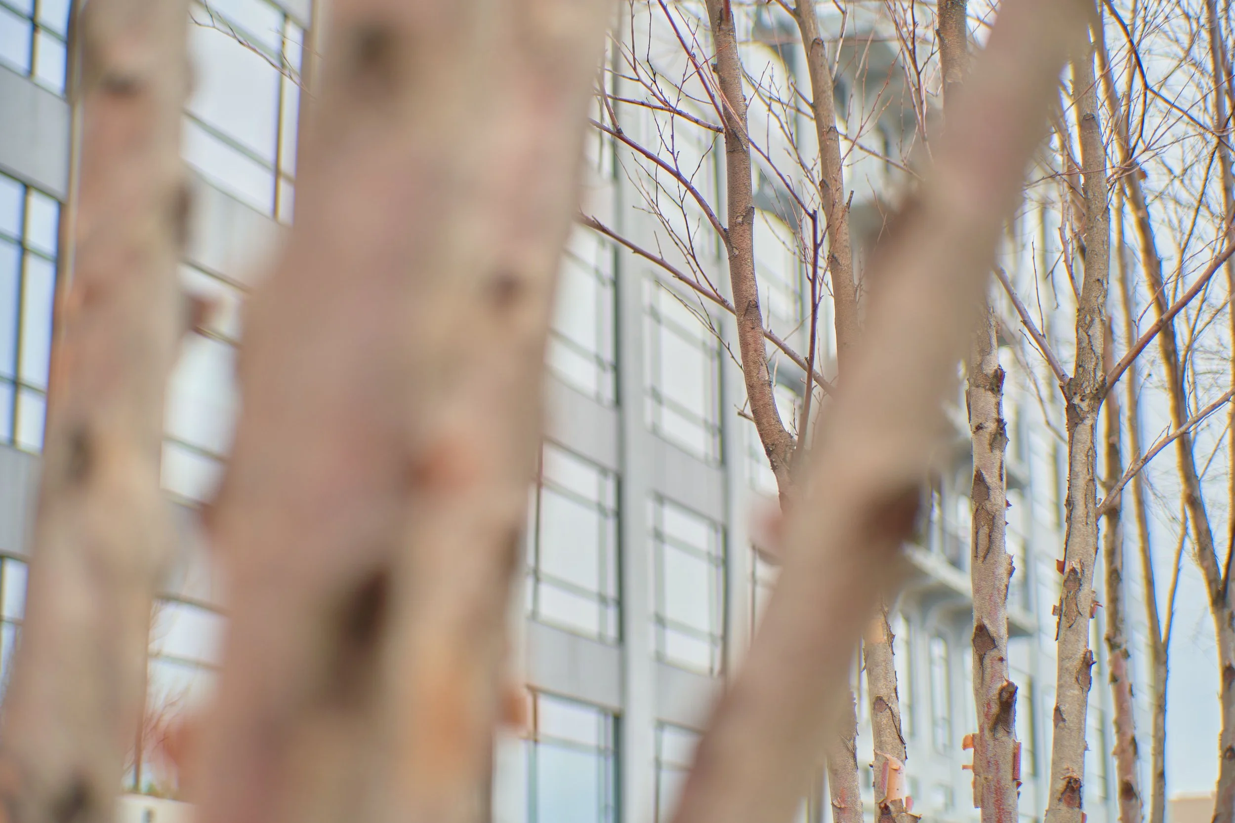 Lofts for sale at the historic Red Hook Dock Co building on 160 Imlay