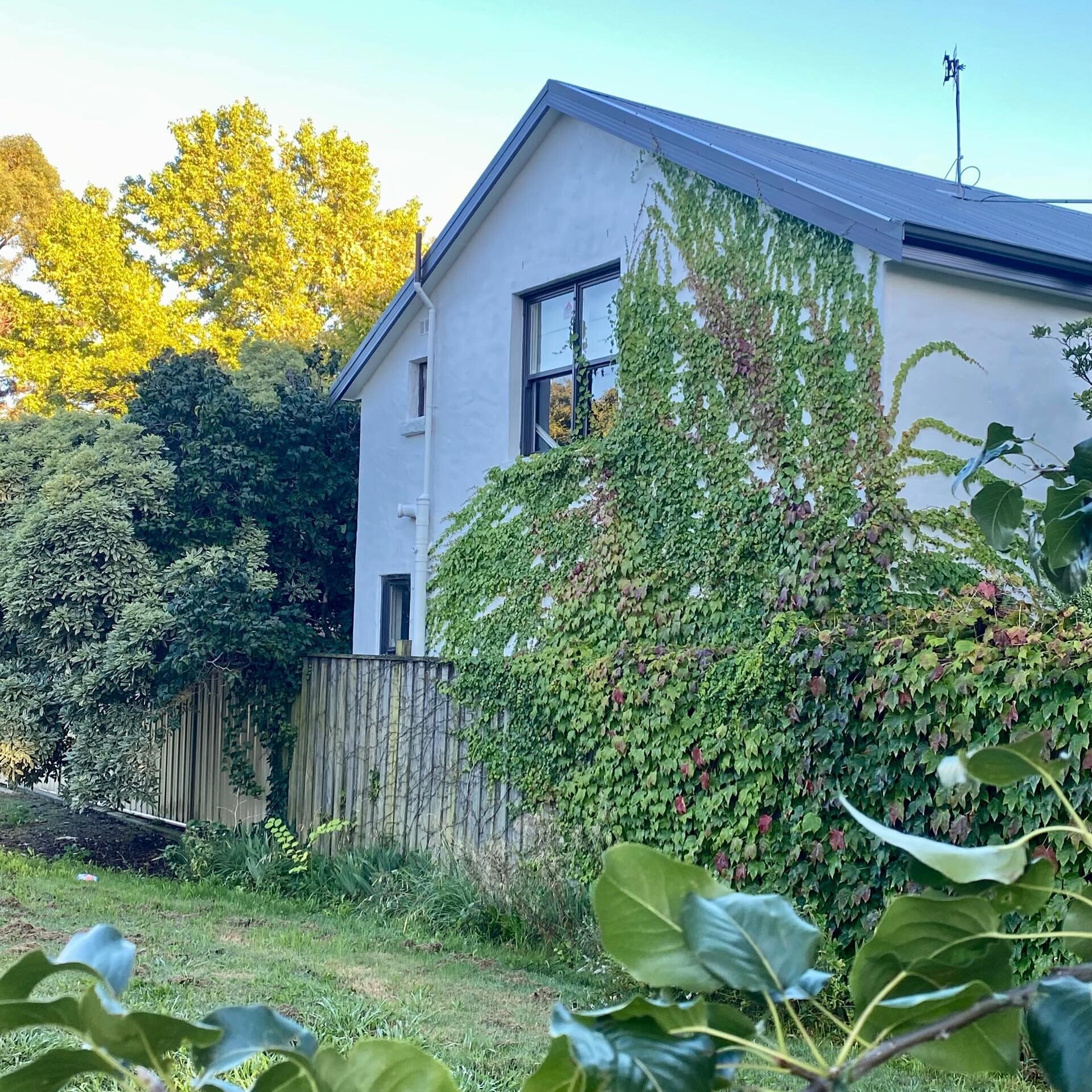 Morning rays illuminate the gingerbread house. Alone in the park looking back at the Garden Loft.
⠀⠀⠀⠀⠀⠀⠀⠀⠀
#orangeregionnsw #orangensw #visitorangensw #centralwestnsw #orangensw2800 #unearthcentralnsw #centraltablelandsnsw 
⠀⠀⠀⠀⠀⠀⠀⠀⠀
@orange360_ally