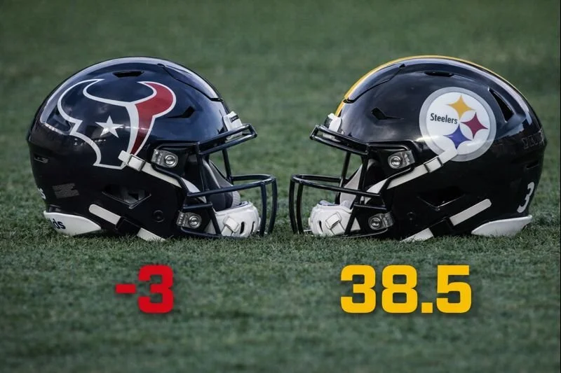 Houston Texans at Pittsburgh Steelers
