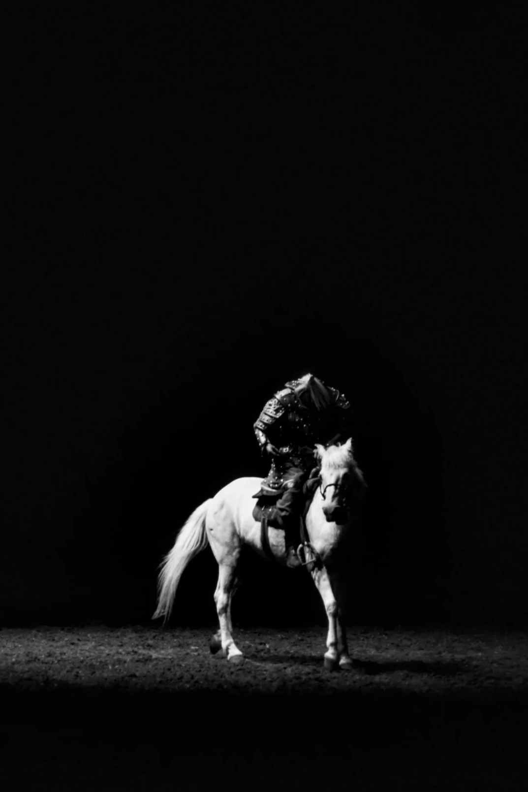 Horse and Rider: Digital Download