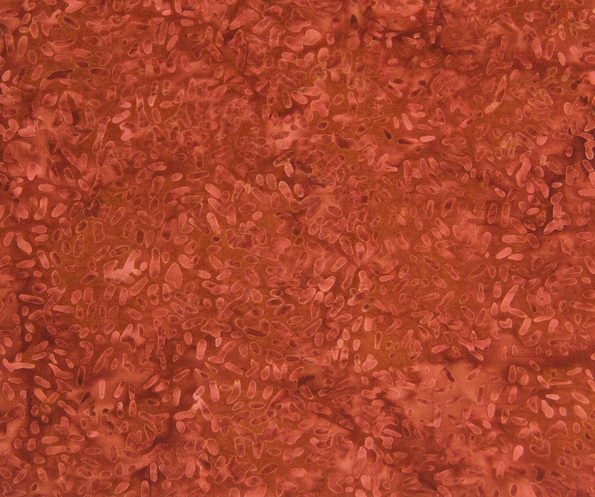 https://i.etsystatic.com/28891193/r/il/32f4c5/4977094861/il_fullxfull.4977094861_4avc.jpg