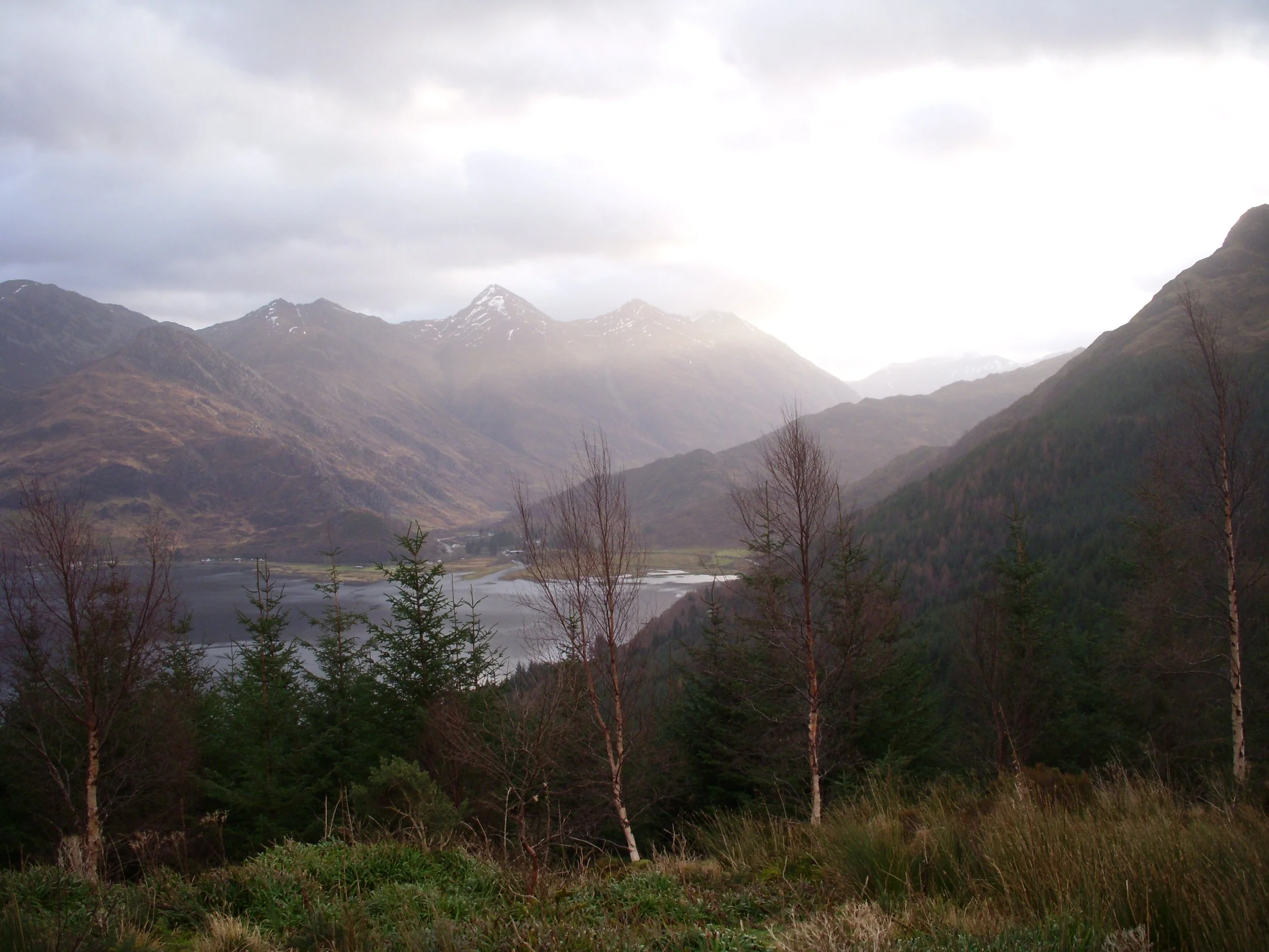 Folklore, Fae, and Falling in Love: The Heart of Holly &amp; Oak