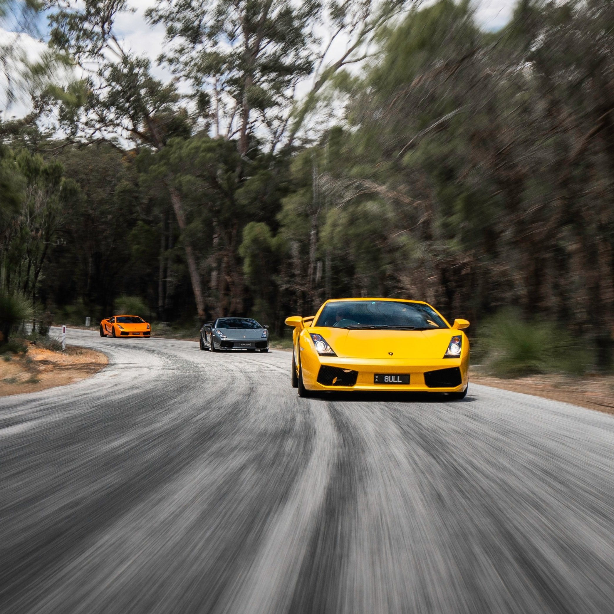 Three Lamborghini sports cars driving on a curved road through a forest, with a yellow car in the front, followed by black and orange cars.