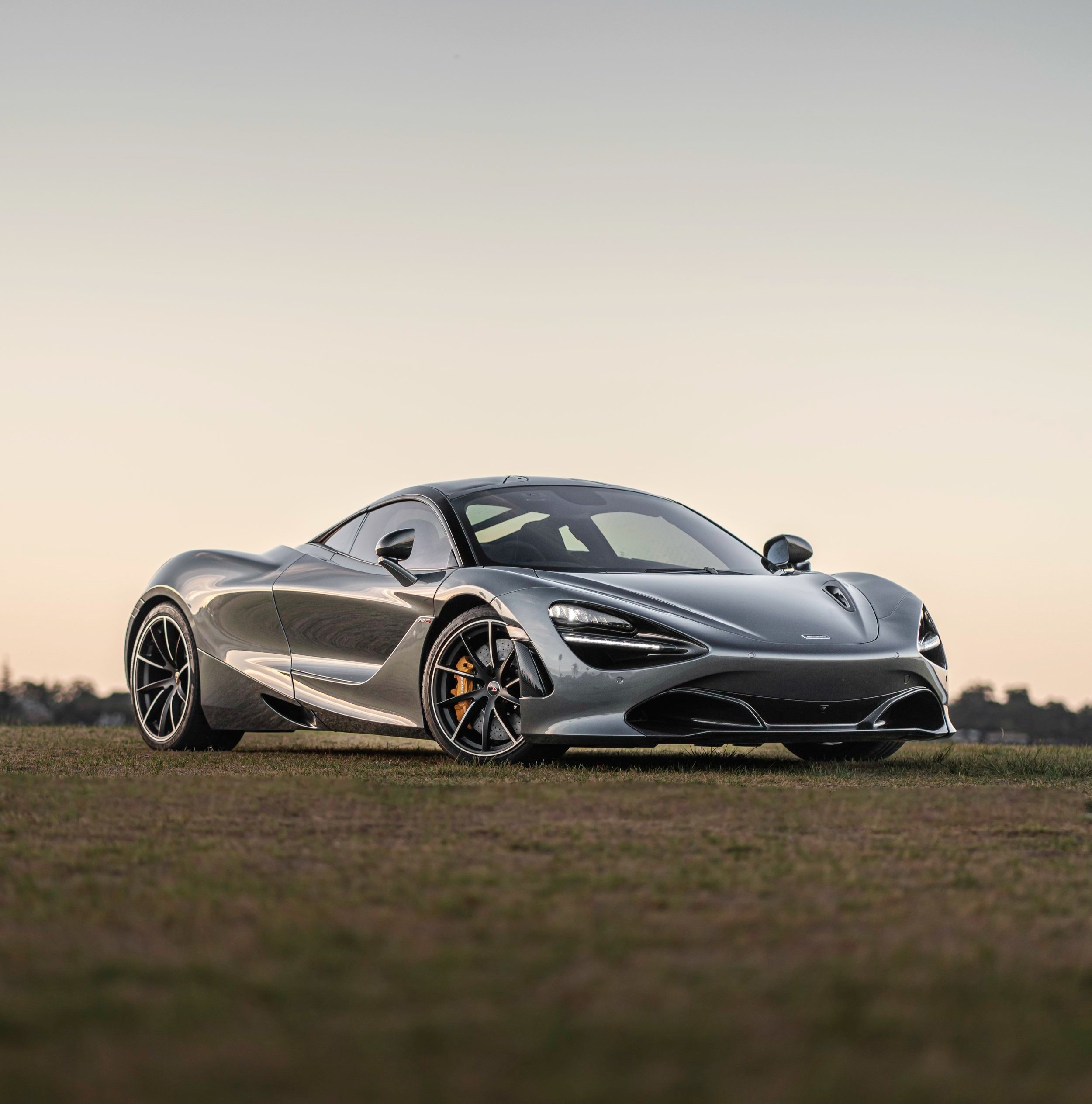 Silver sports car, possibly a supercar, parked on grass at sunset.