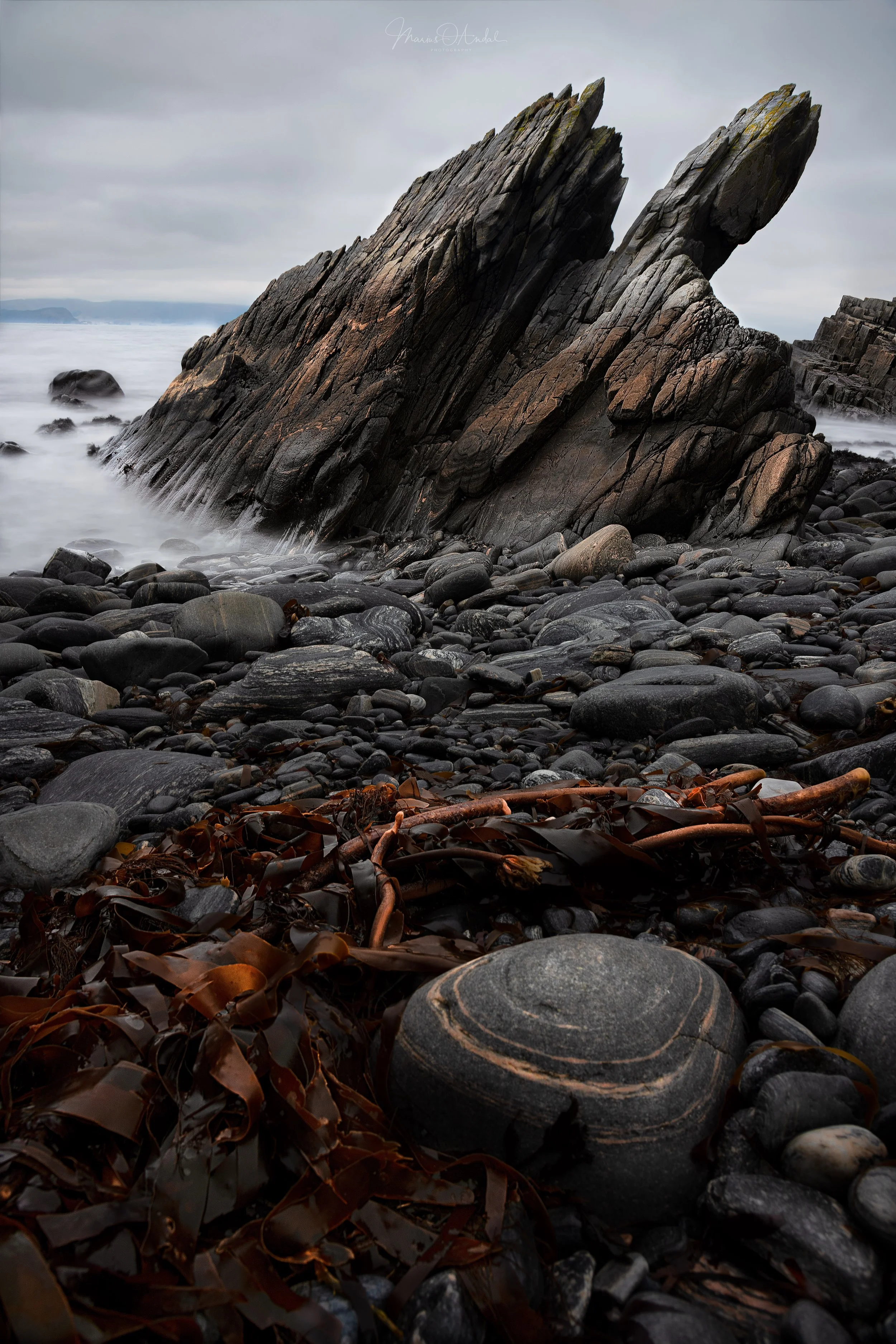 _DSC7519 kopi-3.jpg