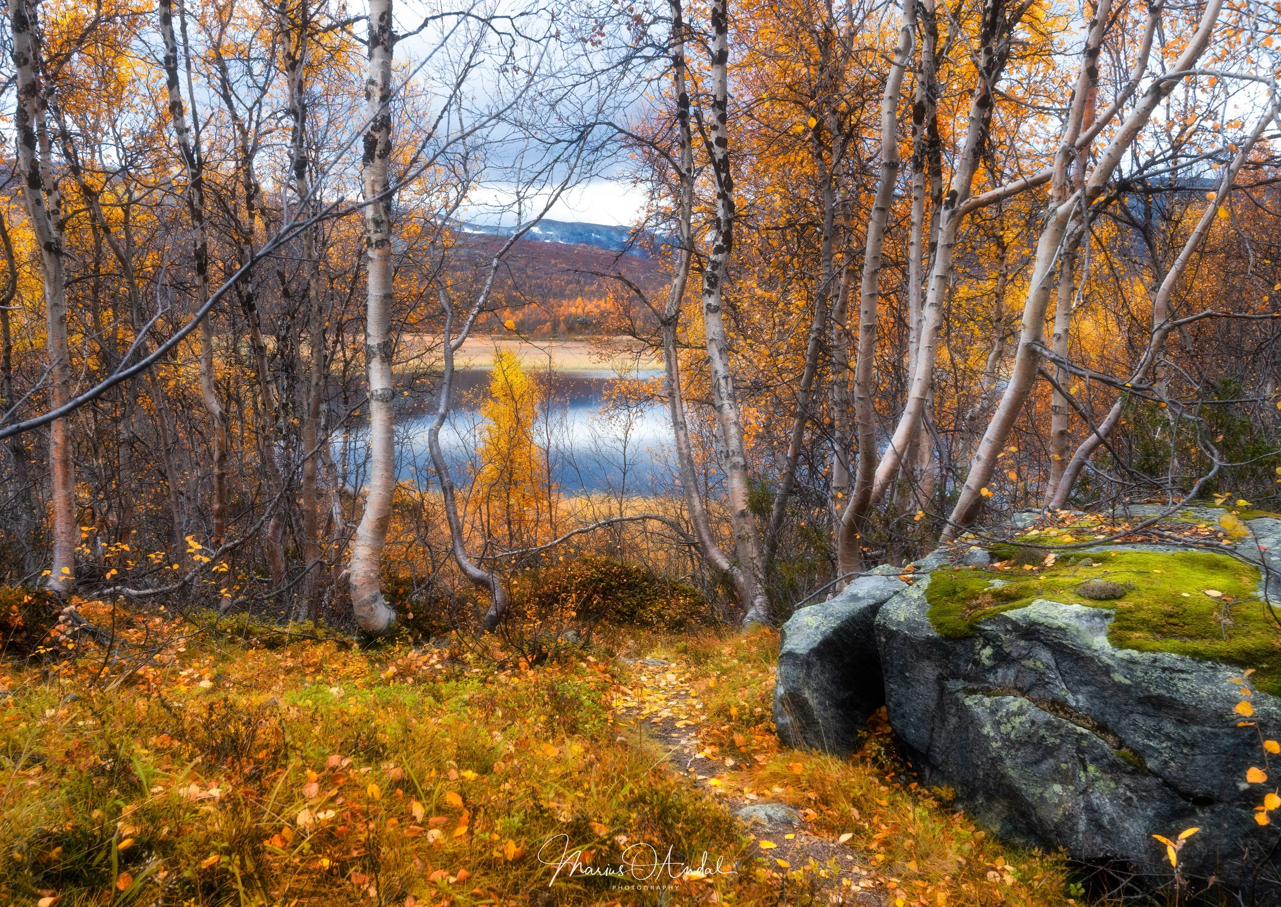 _DSC8006.jpg