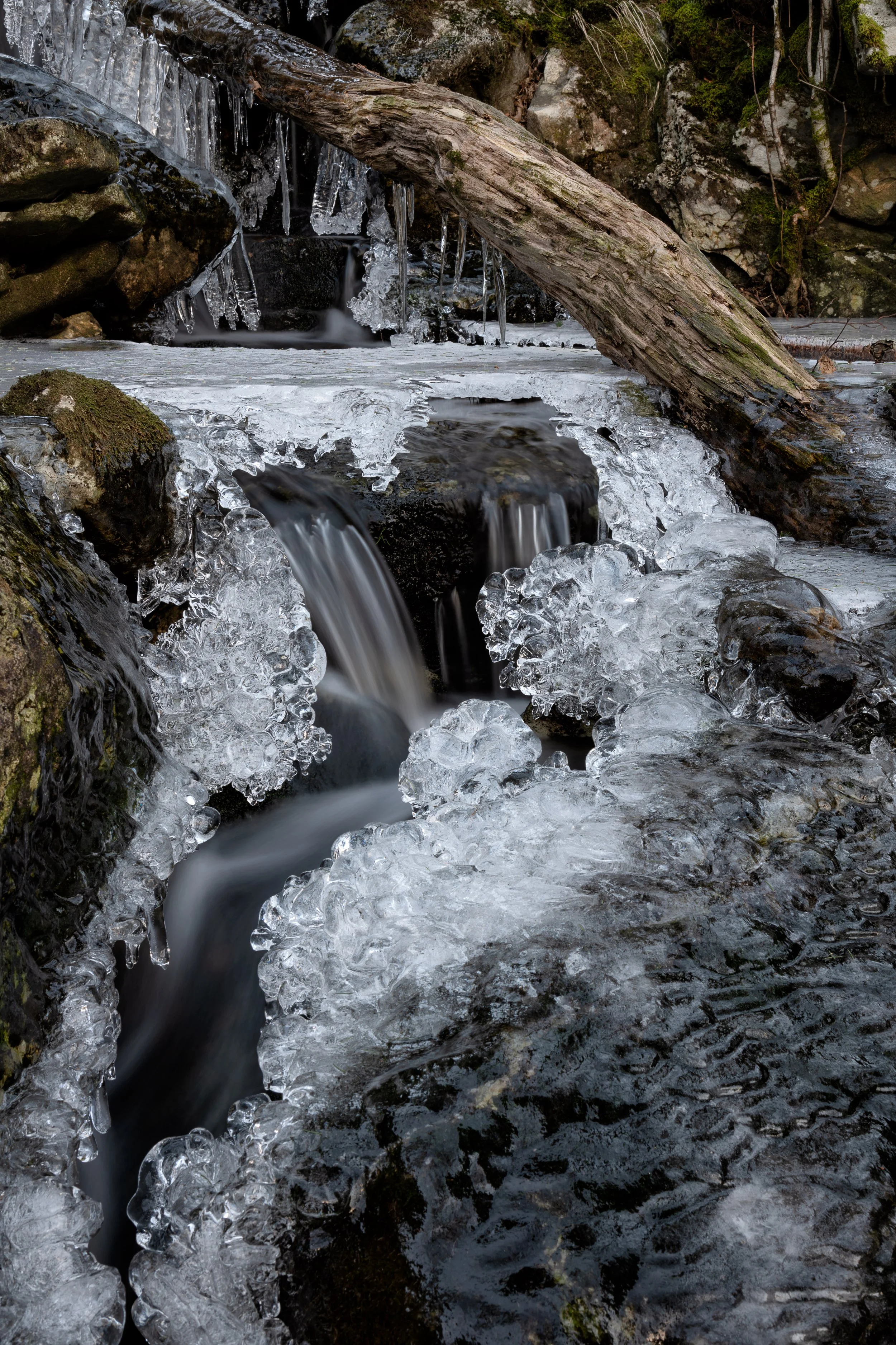 _DSC7964.jpg