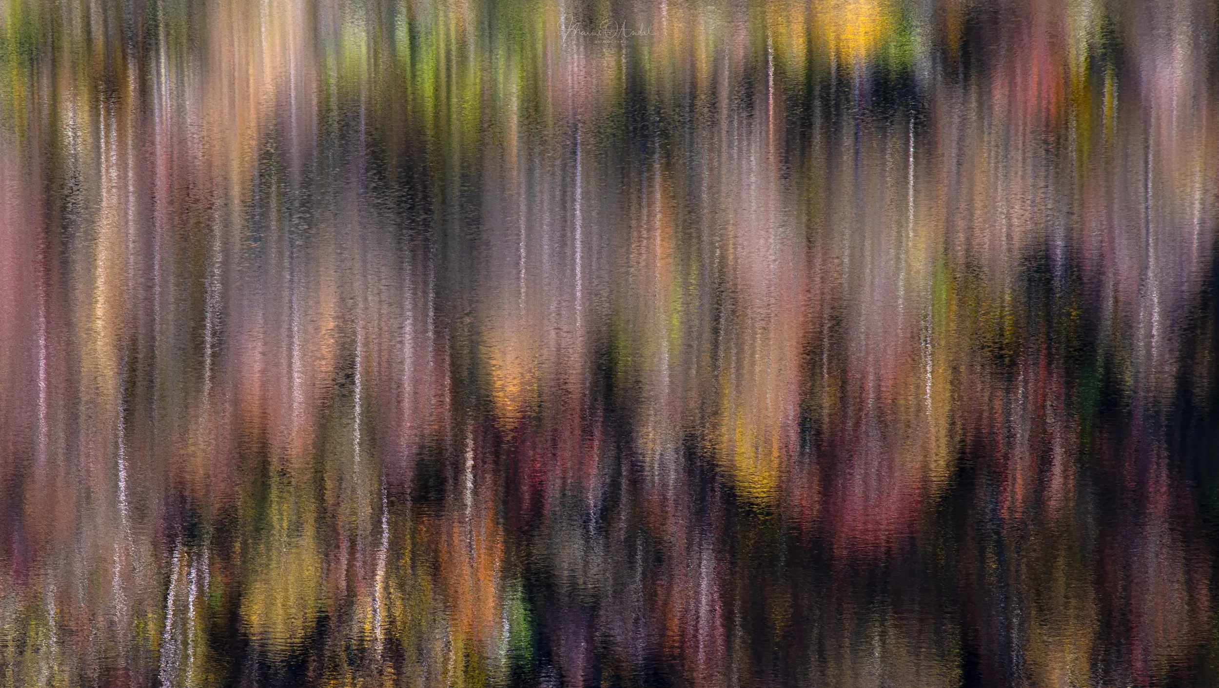 _DSC0561.psb refleksjonar høst.jpg