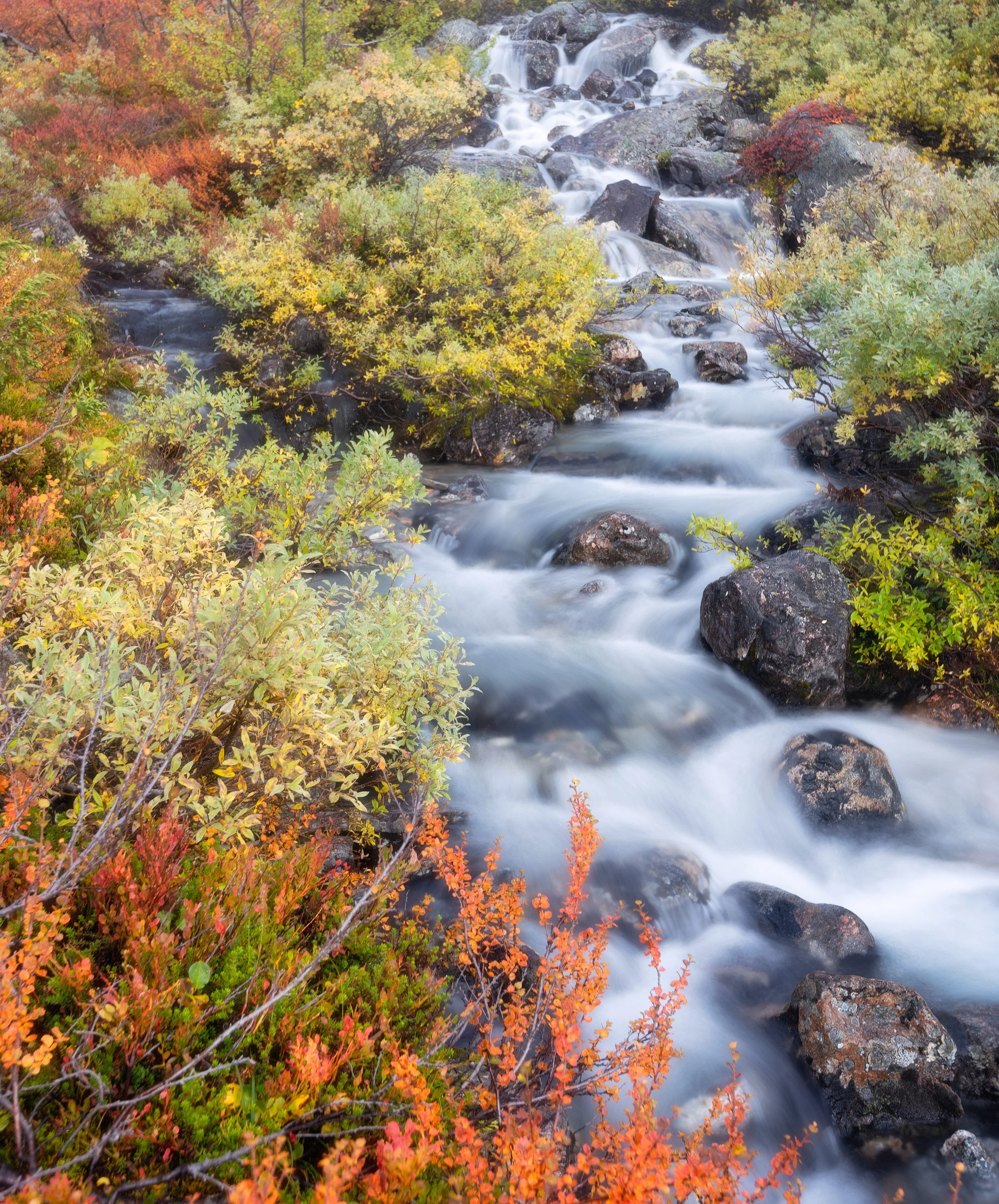 _DSC2999.jpg