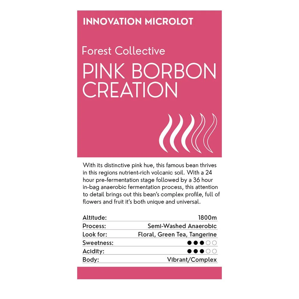 OHCO_COFFEE_FOREST_PINK_BORBON_INNOVATION_MICROLOT.jpg