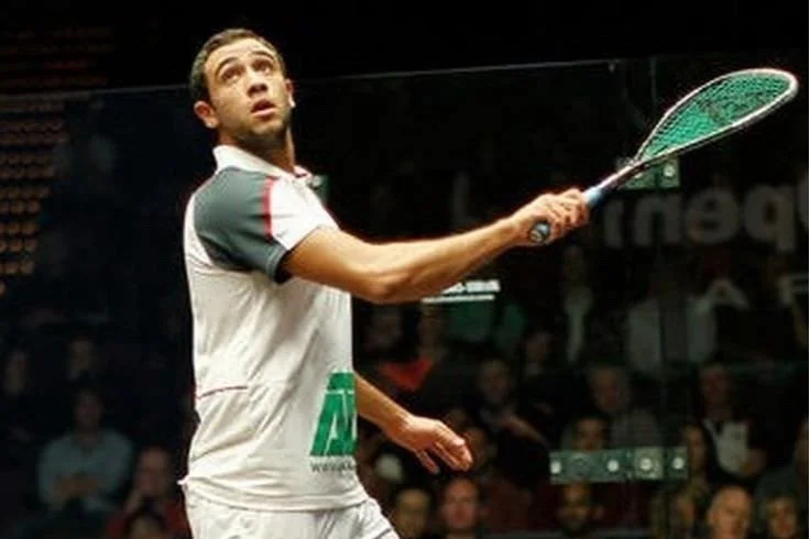 ramy ashour net worth - Ilustrasi 3
