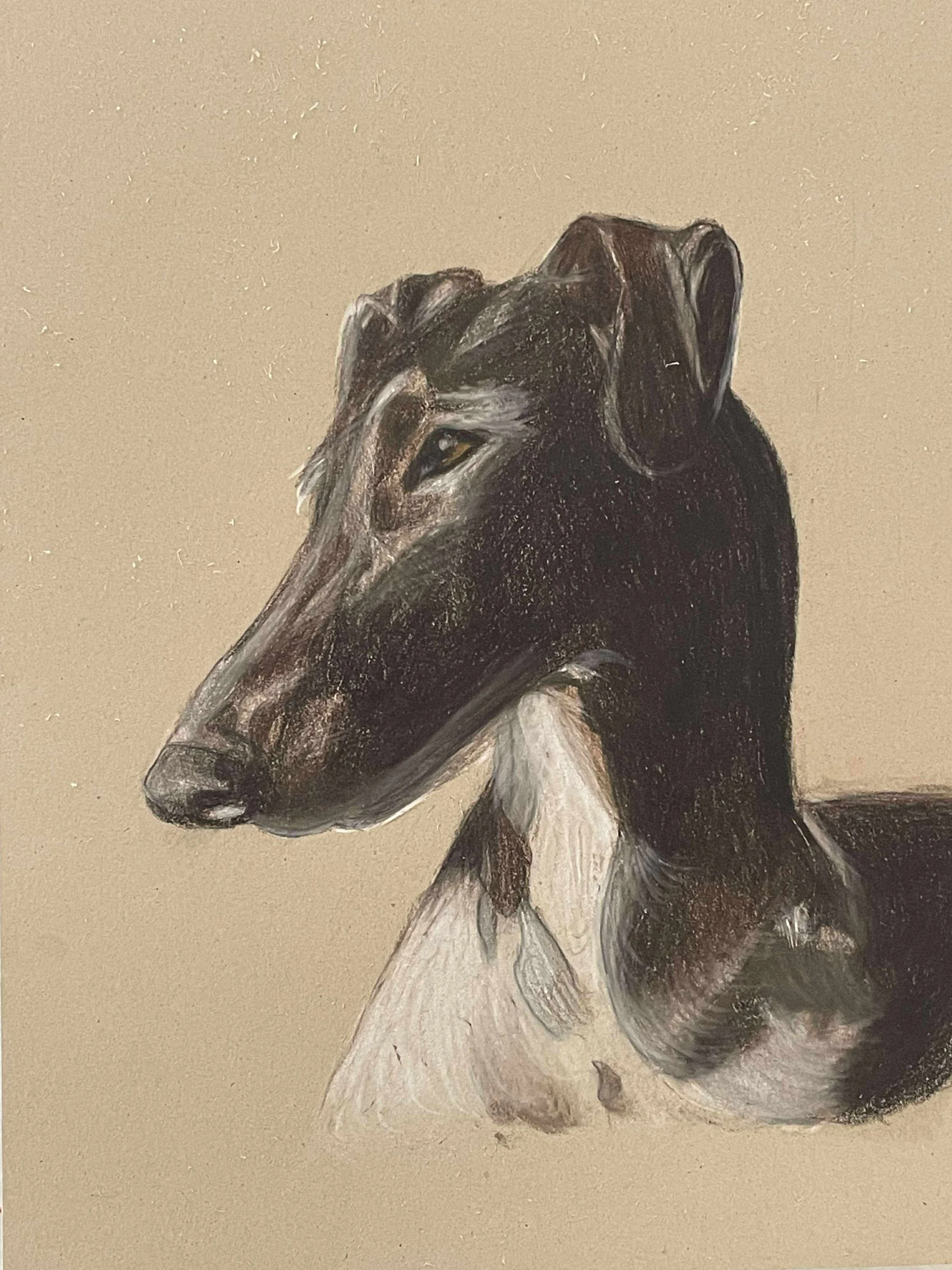 Painting of a dog, likely a greyhound or whippet, with a black and white coat, looking to the side against a plain beige background.