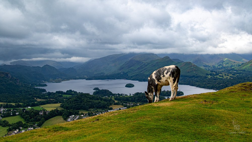 Latrigg-23-The-Lake-District-17.jpg