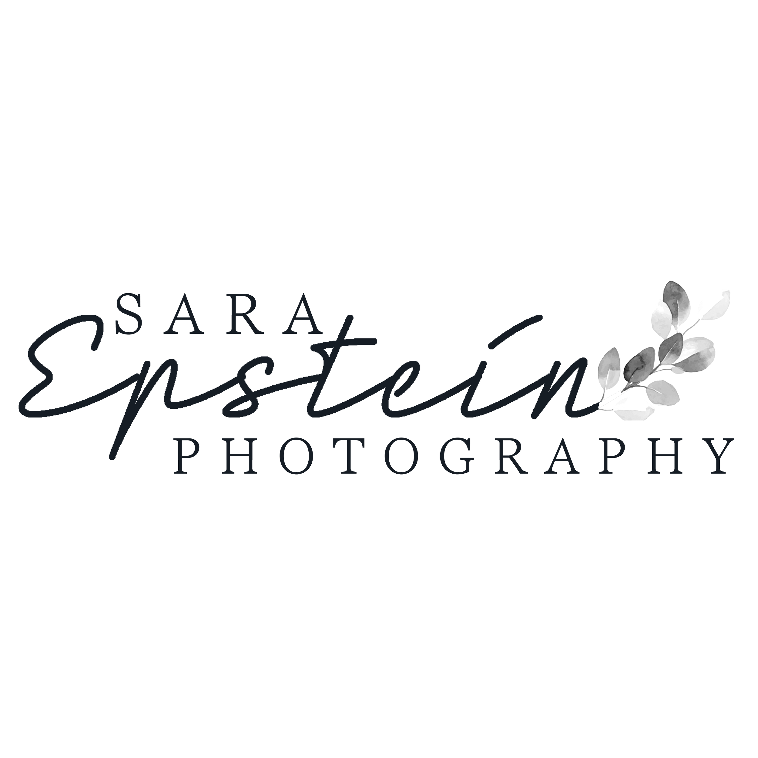 Web Design for Photographers: Sara Epstein’s New Site