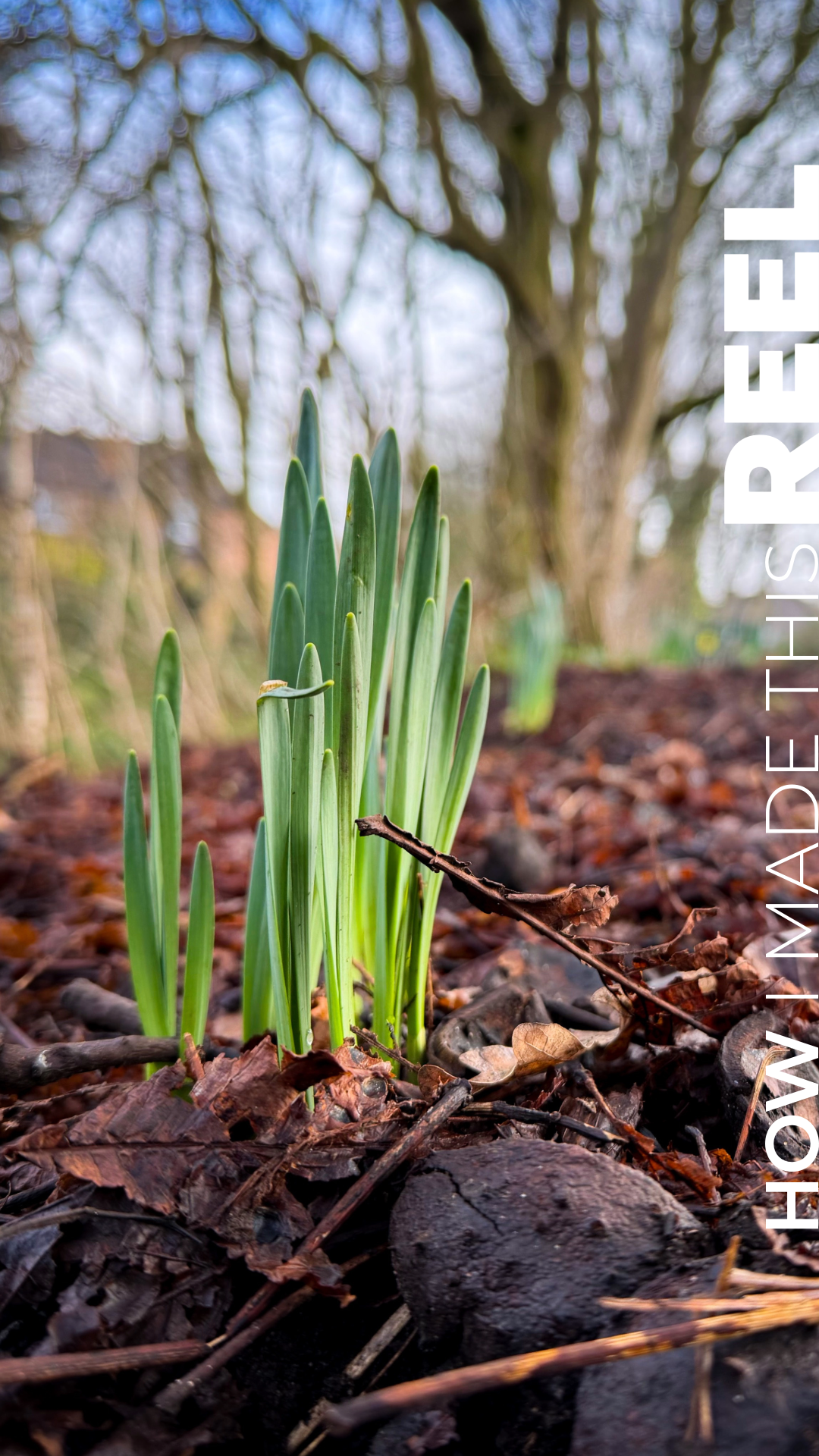 REEL | Spring is on its way