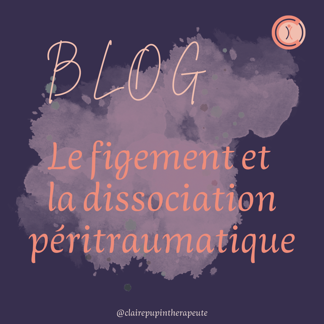 Figement et dissociation péri traumatique : que se passe-t-il dans ton corps face à une violence sexuelle ?