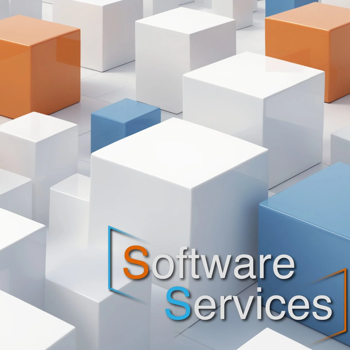 Software service sq.jpg