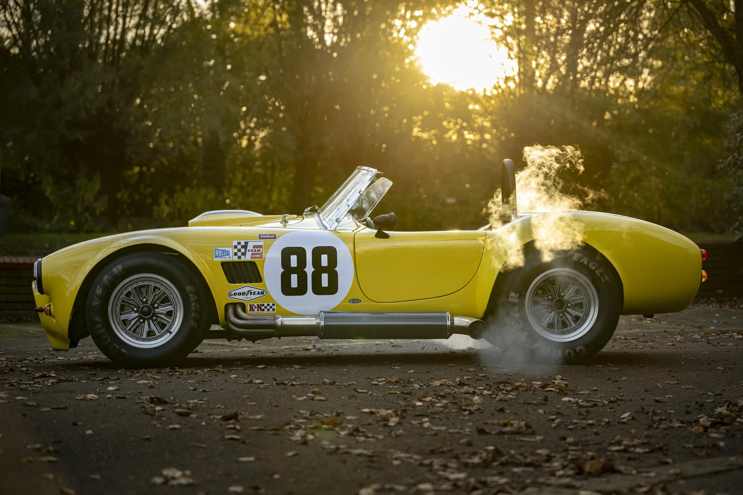 DWR Cobra #1.jpg