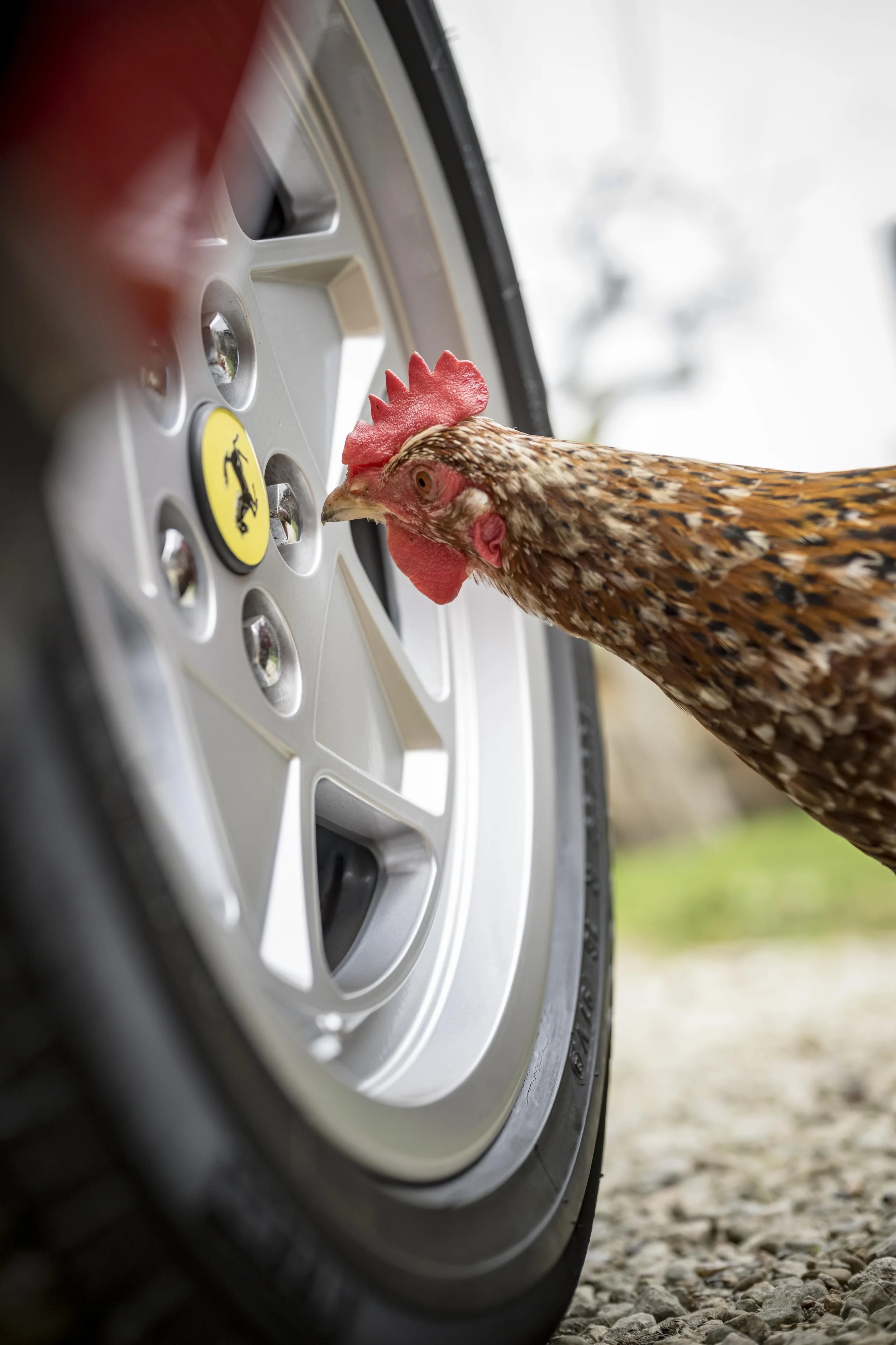 Ferrari 328 GTS #22.jpg