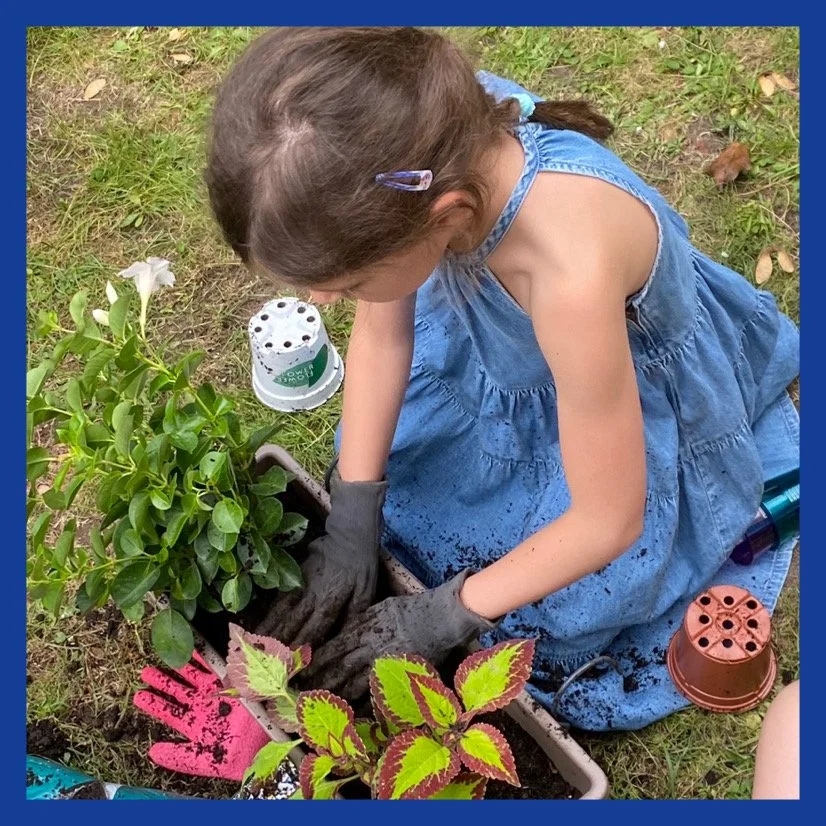 AfterlightImage 298.JPG