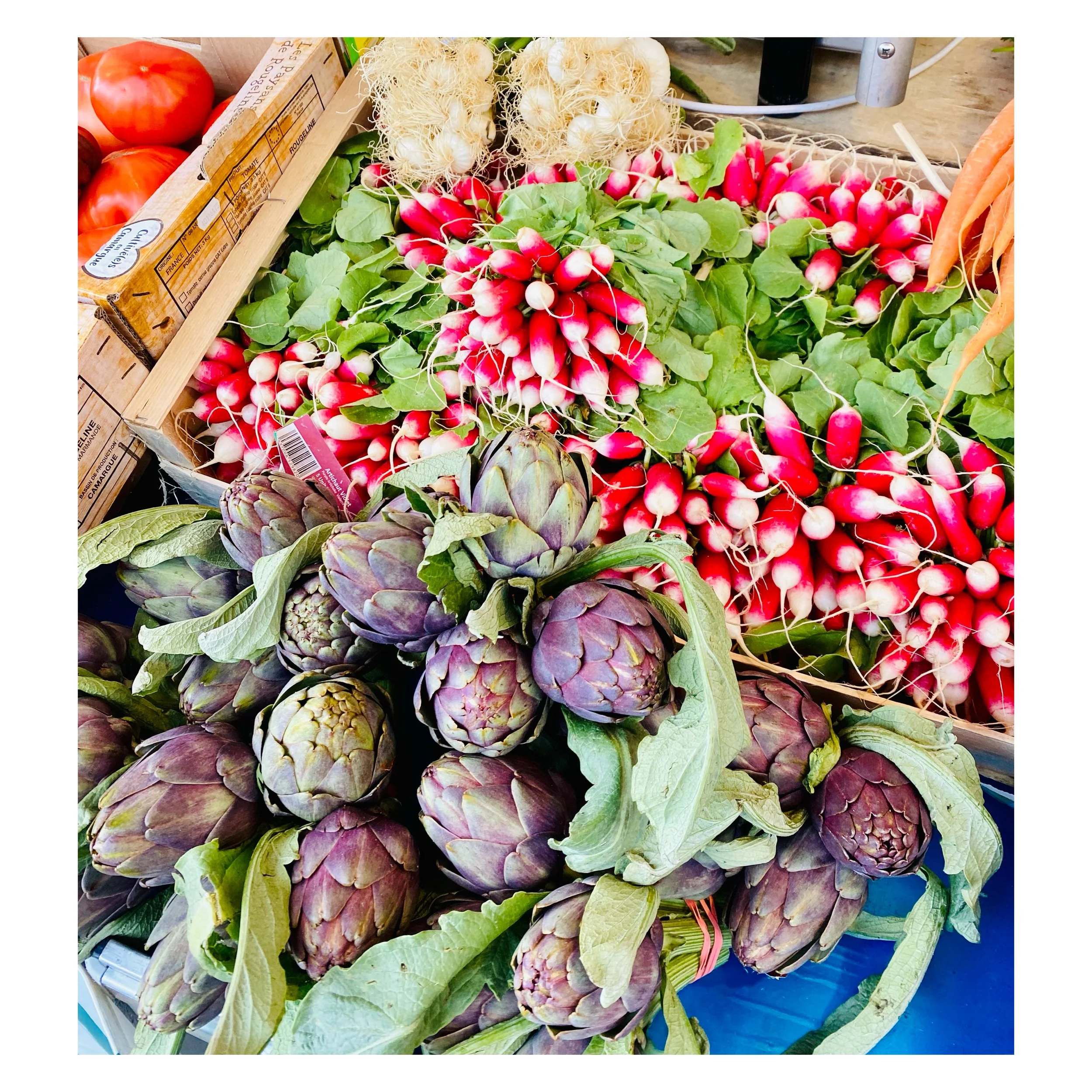 AfterlightImage 239.JPG