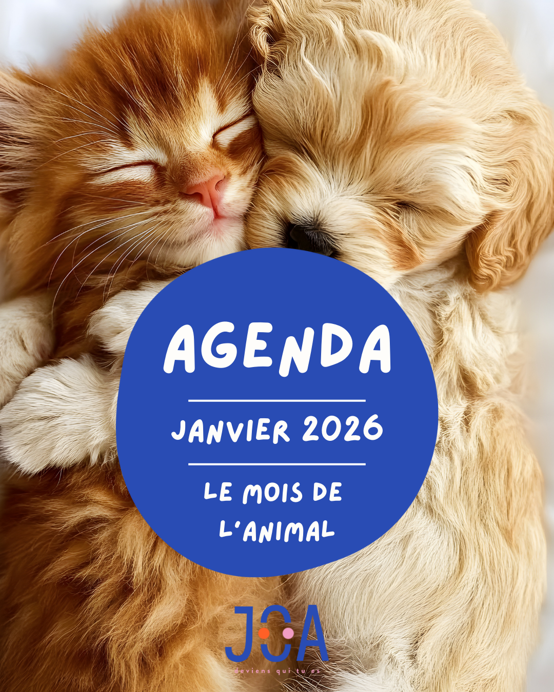 ET SI L’ANIMAL AVAIT QUELQUECHOSE À NOUS APPRENDRE ?