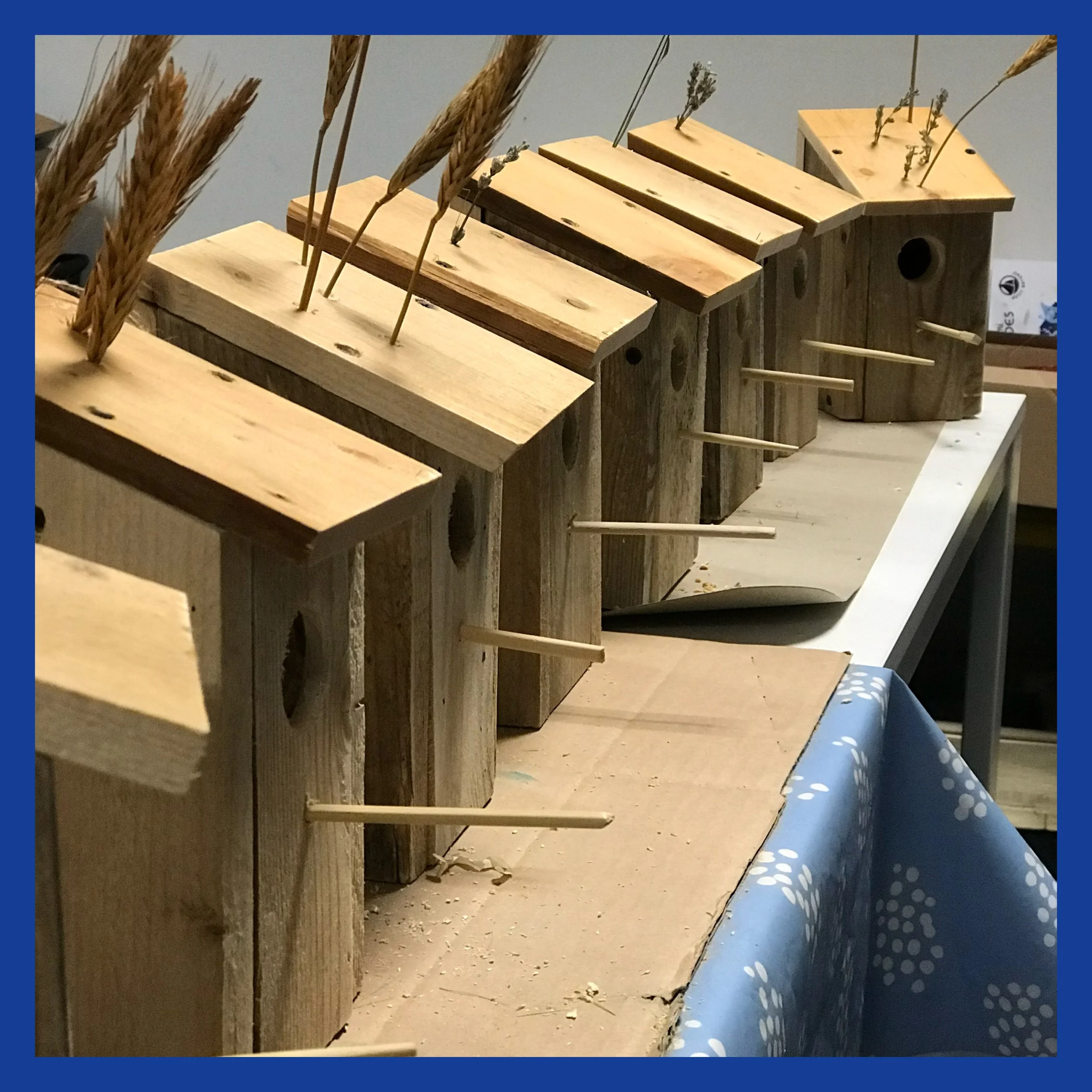 AfterlightImage 357.JPG