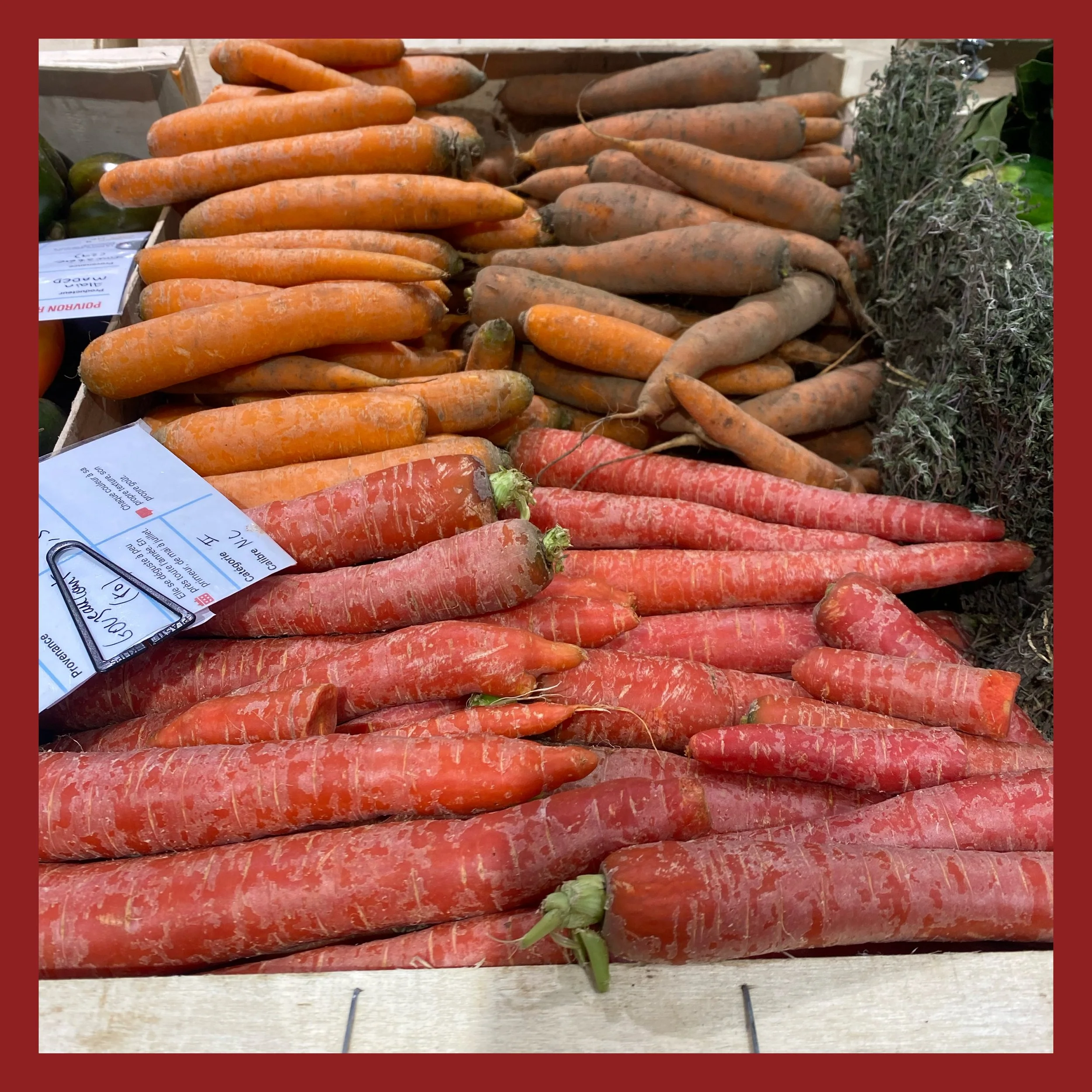 AfterlightImage 207.JPG