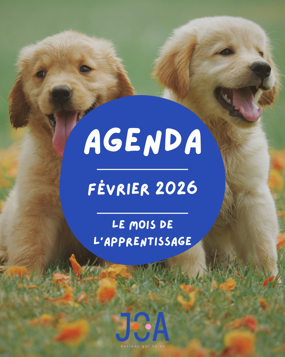 PASS À LA CARTE - JOURNÉE OU DEMI JOURNÉE MERCREDI