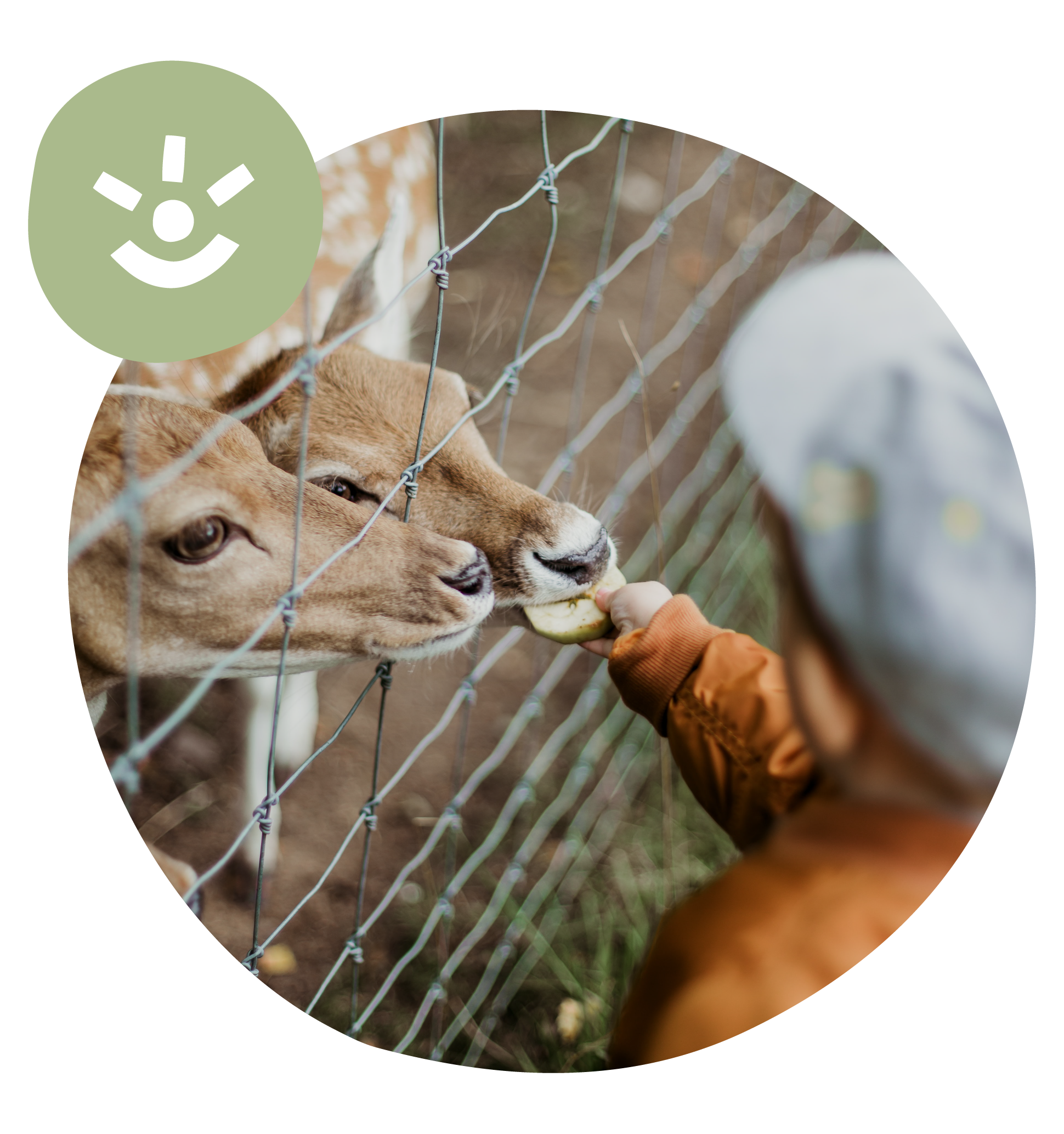 JOA - ICONES ATbELIERSicones.png