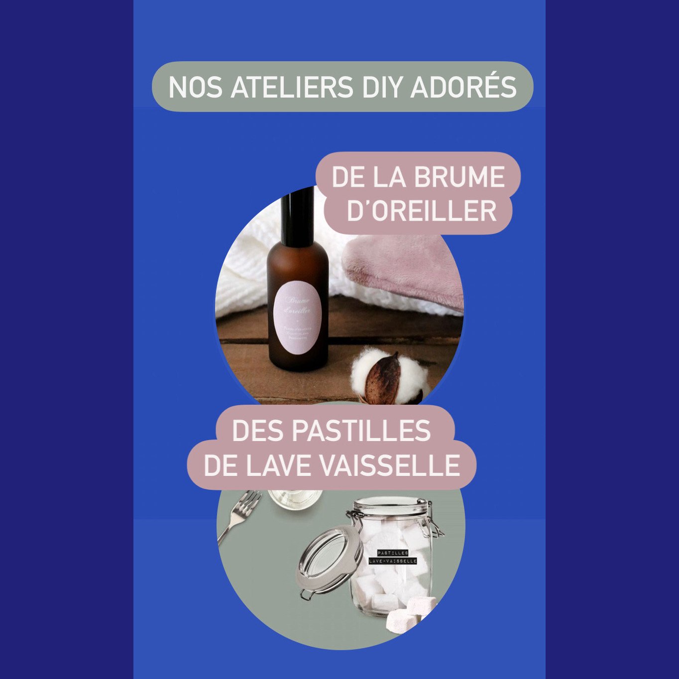 diy ecolo .JPG