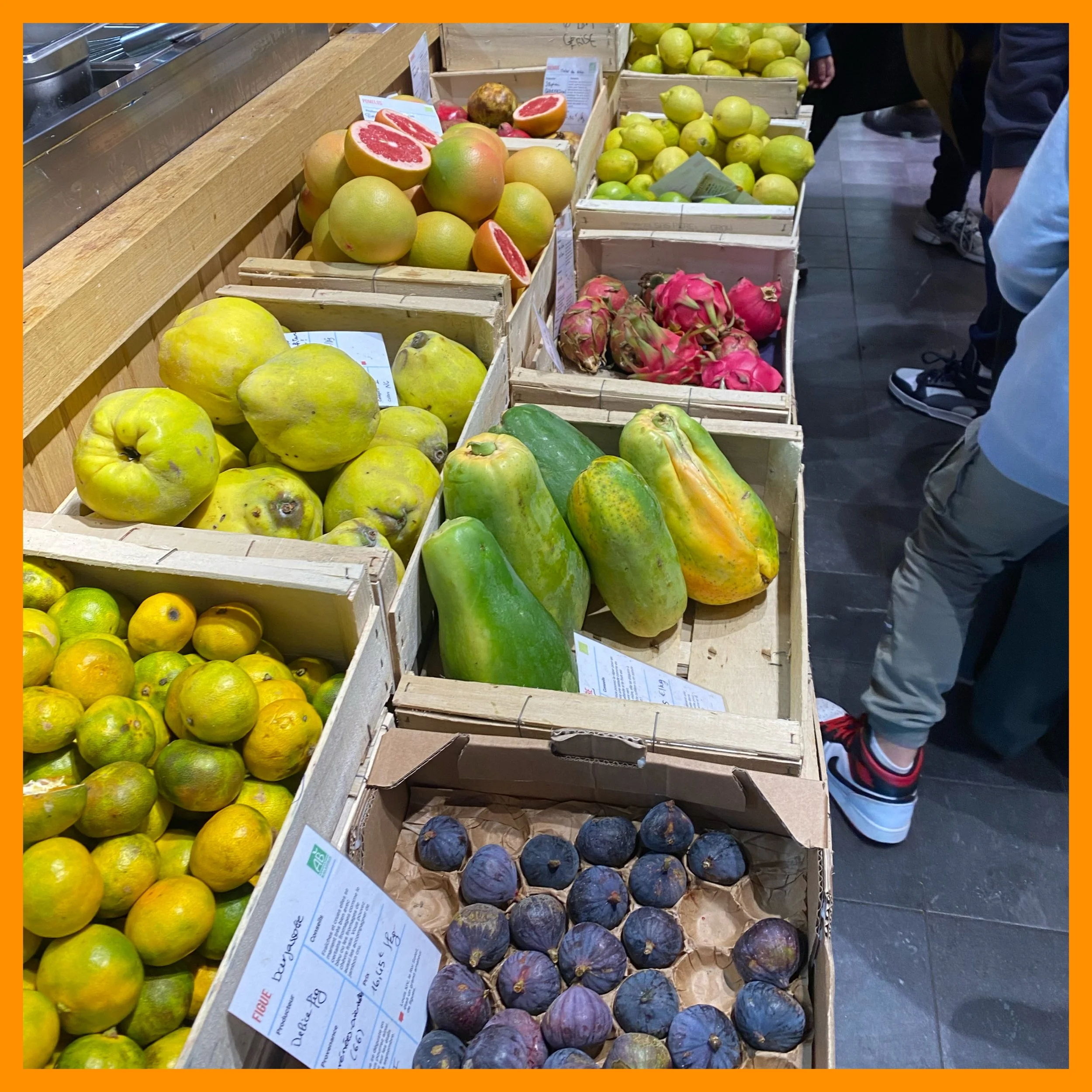 AfterlightImage 206.JPG