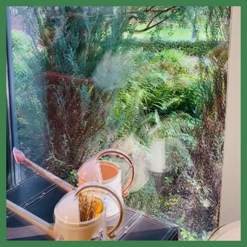 AfterlightImage 359.JPG