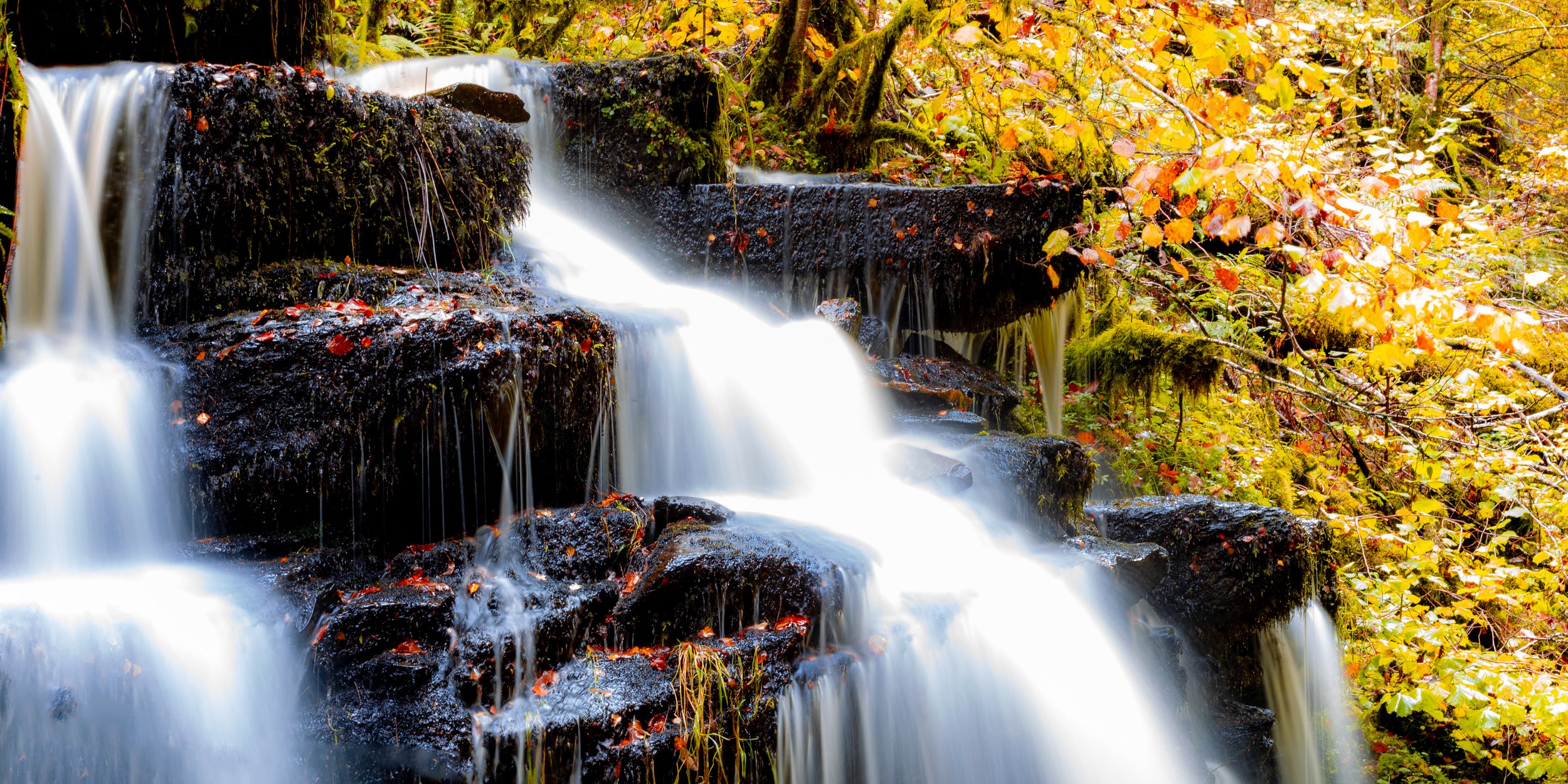 'Birks of Aberfeldy'