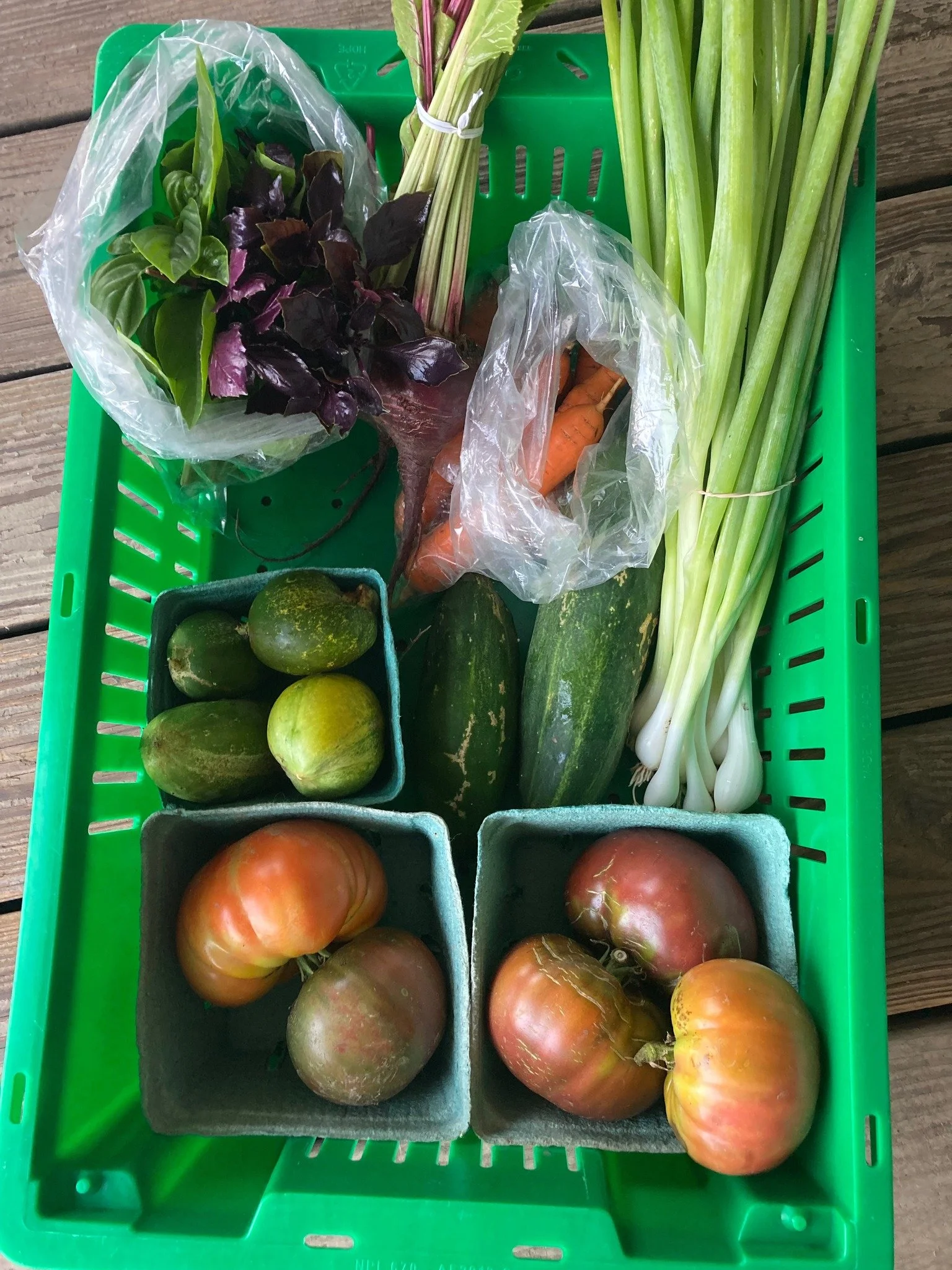 week 10