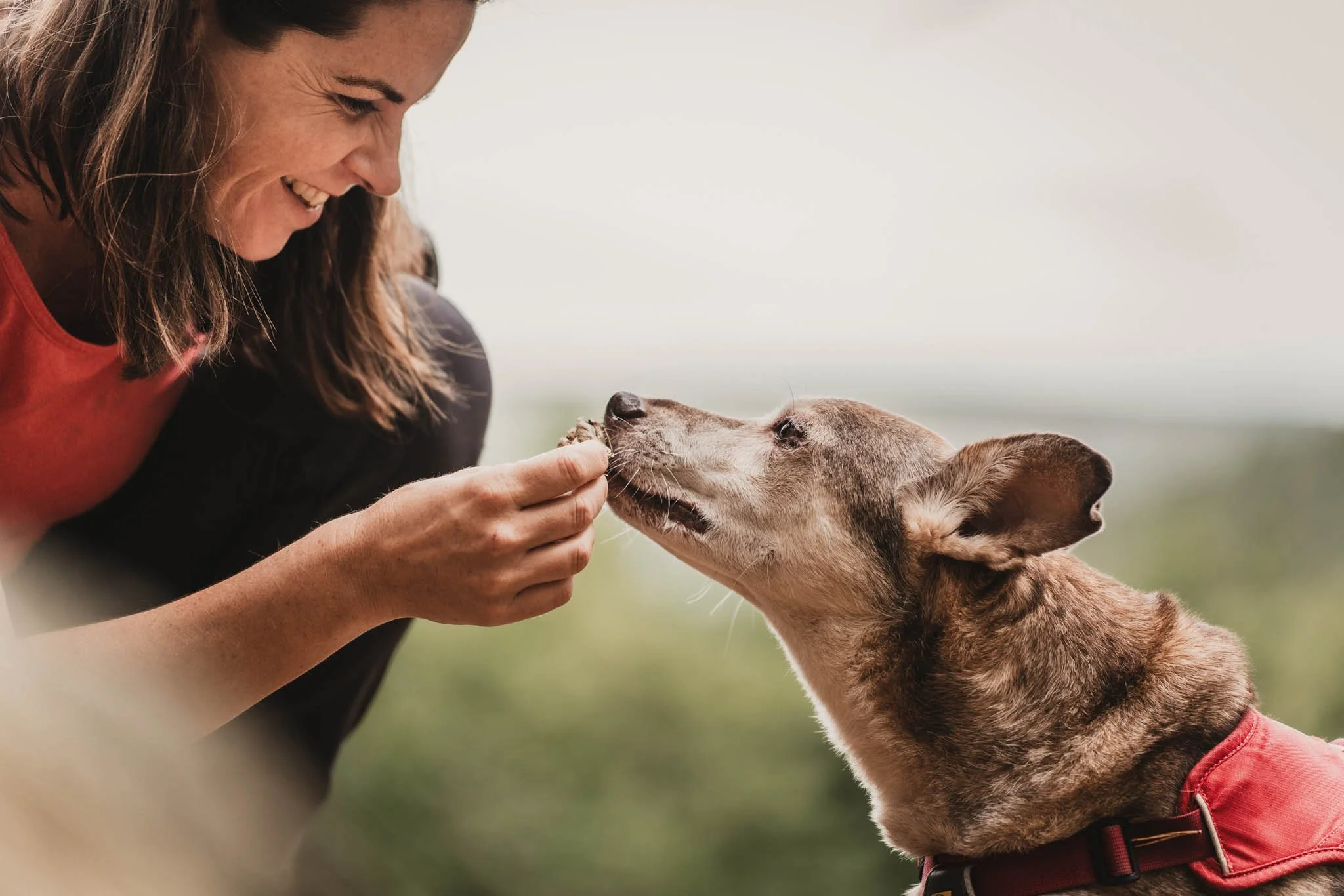 Sajet Fotografie met haar Roemeens hondje Bengi