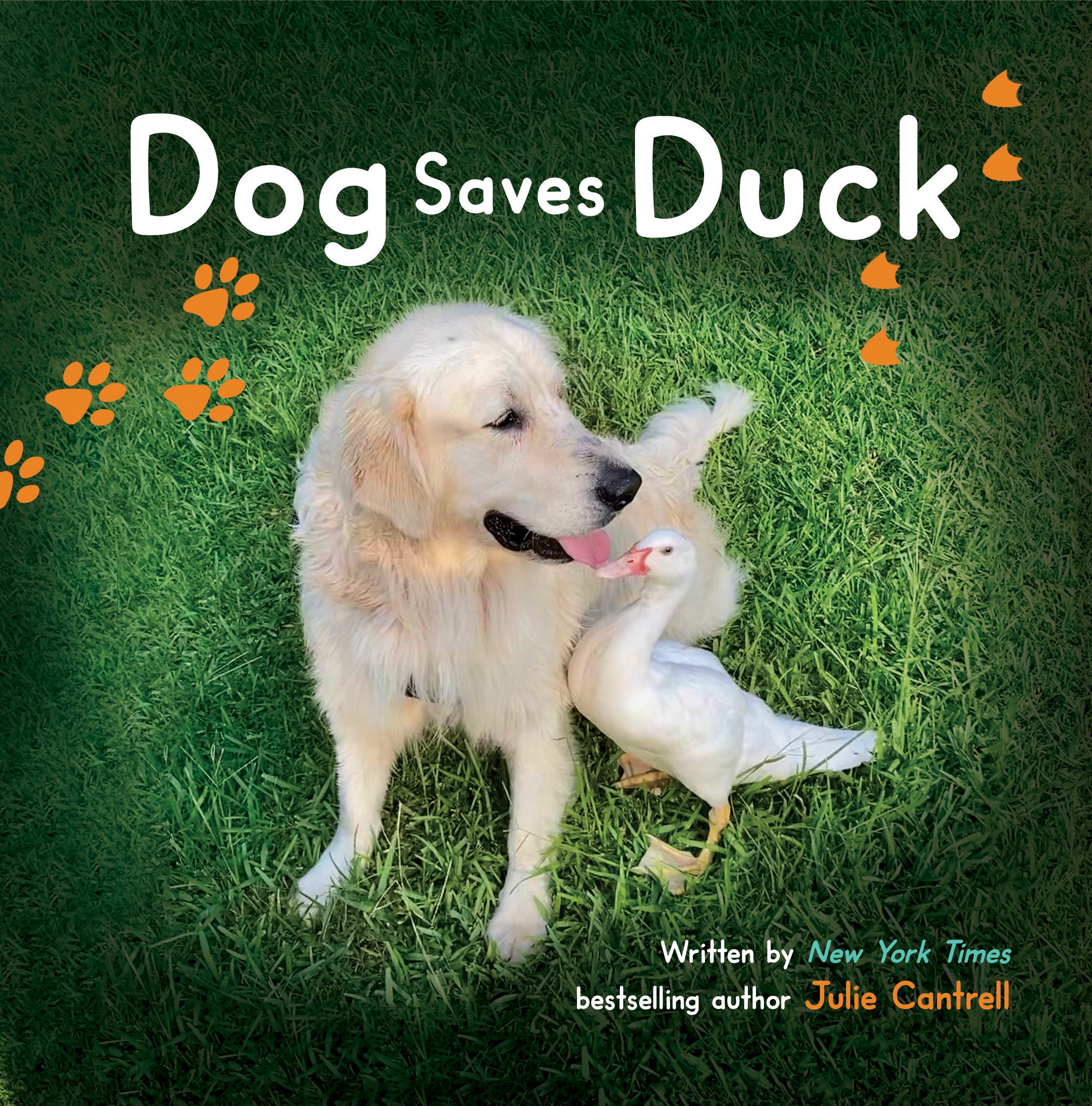 Dog_Saves_Duck_AMAZON_COVER_PB_RGB_FINAL.jpg