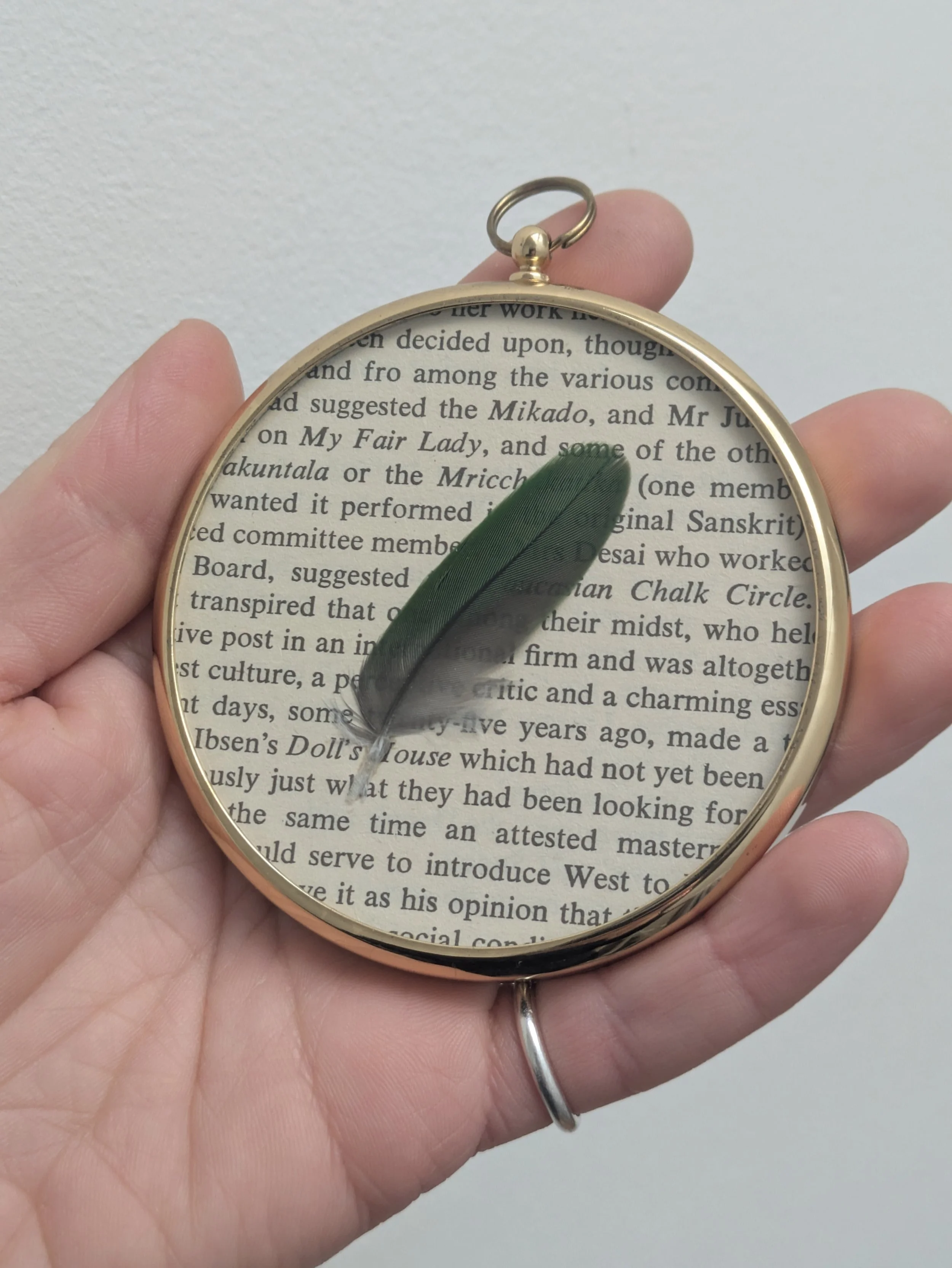 Framed Feather