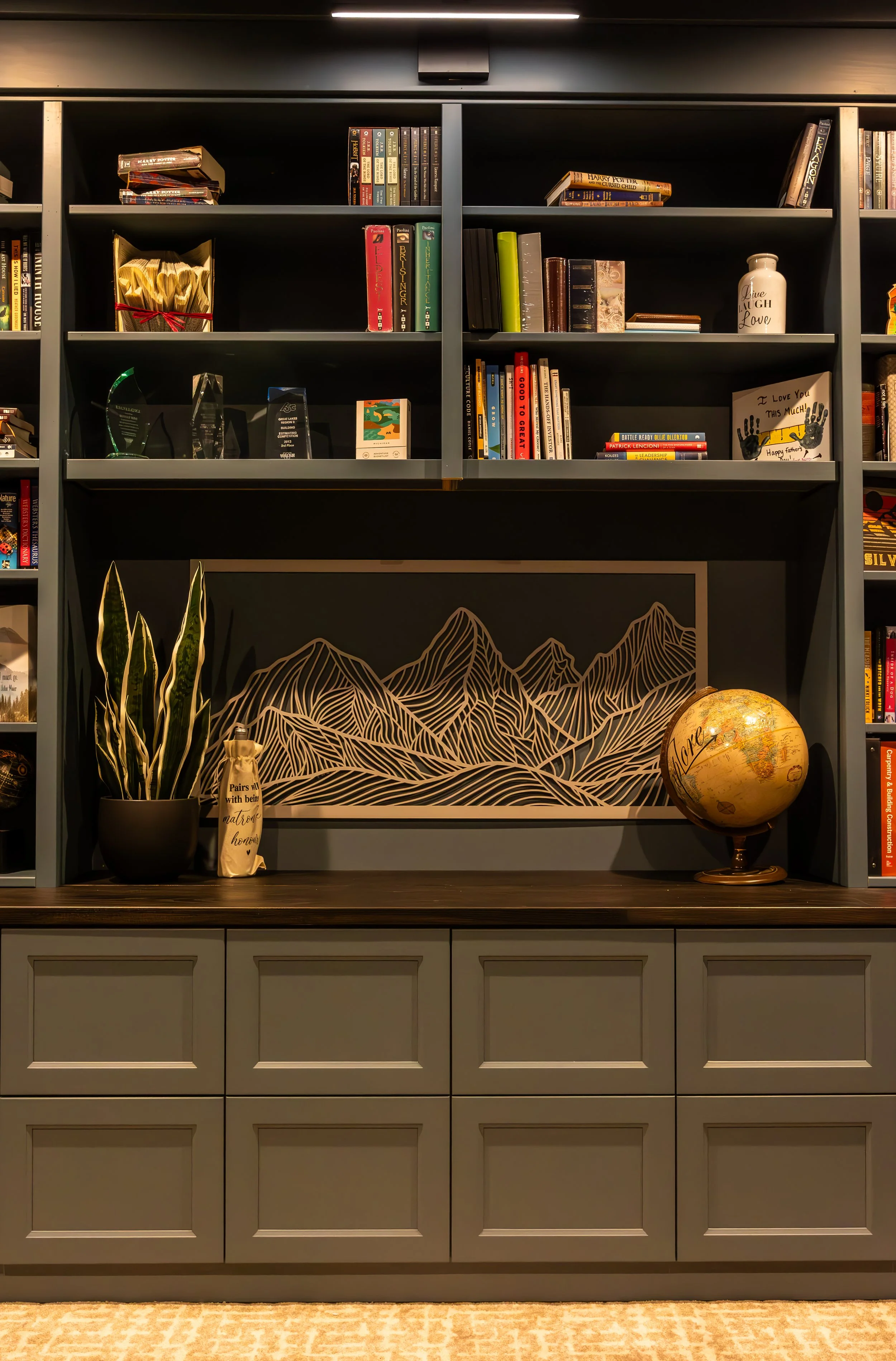 Trailblazer Cabinet Pics-20.jpg