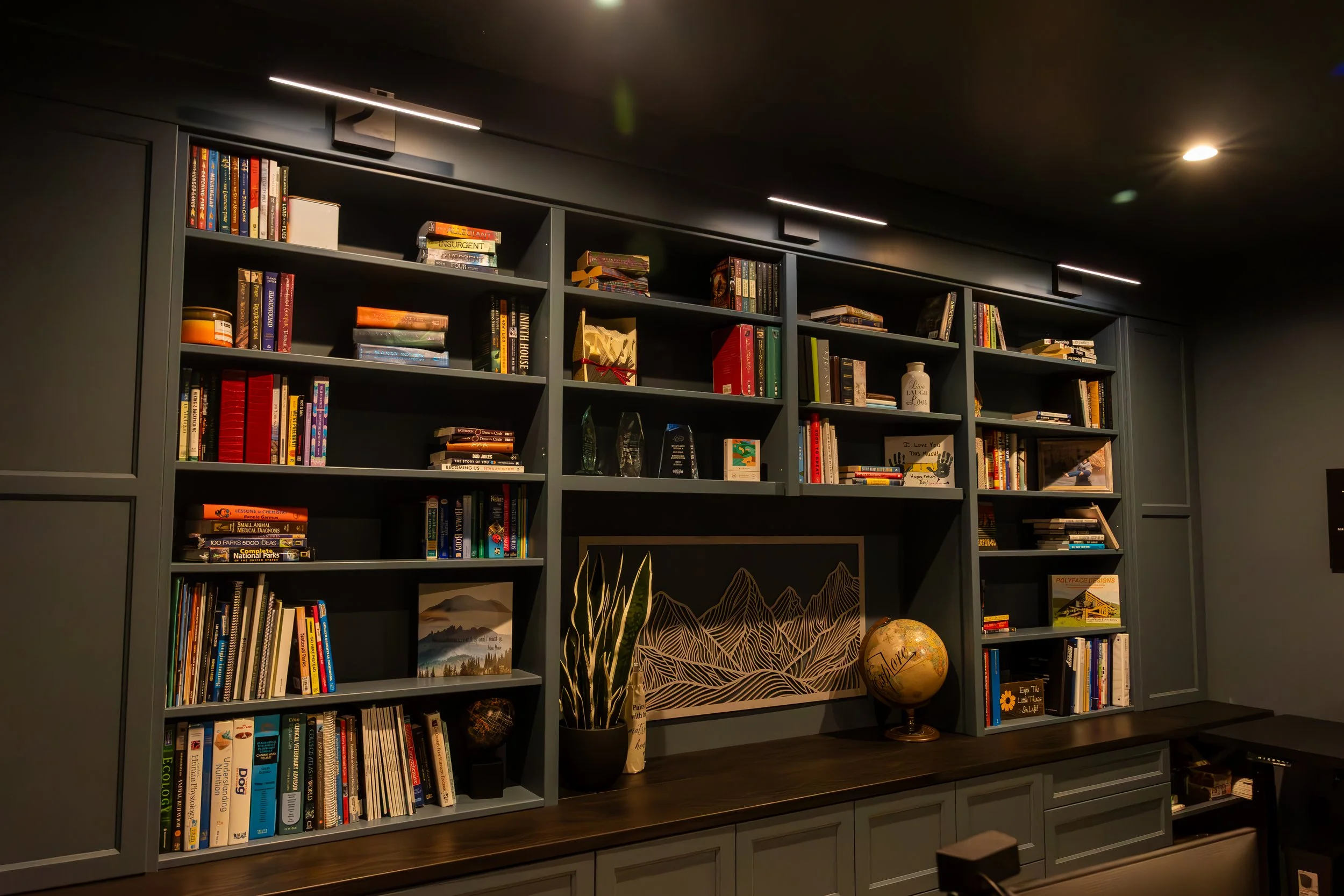 Trailblazer Cabinet Pics-24.jpg