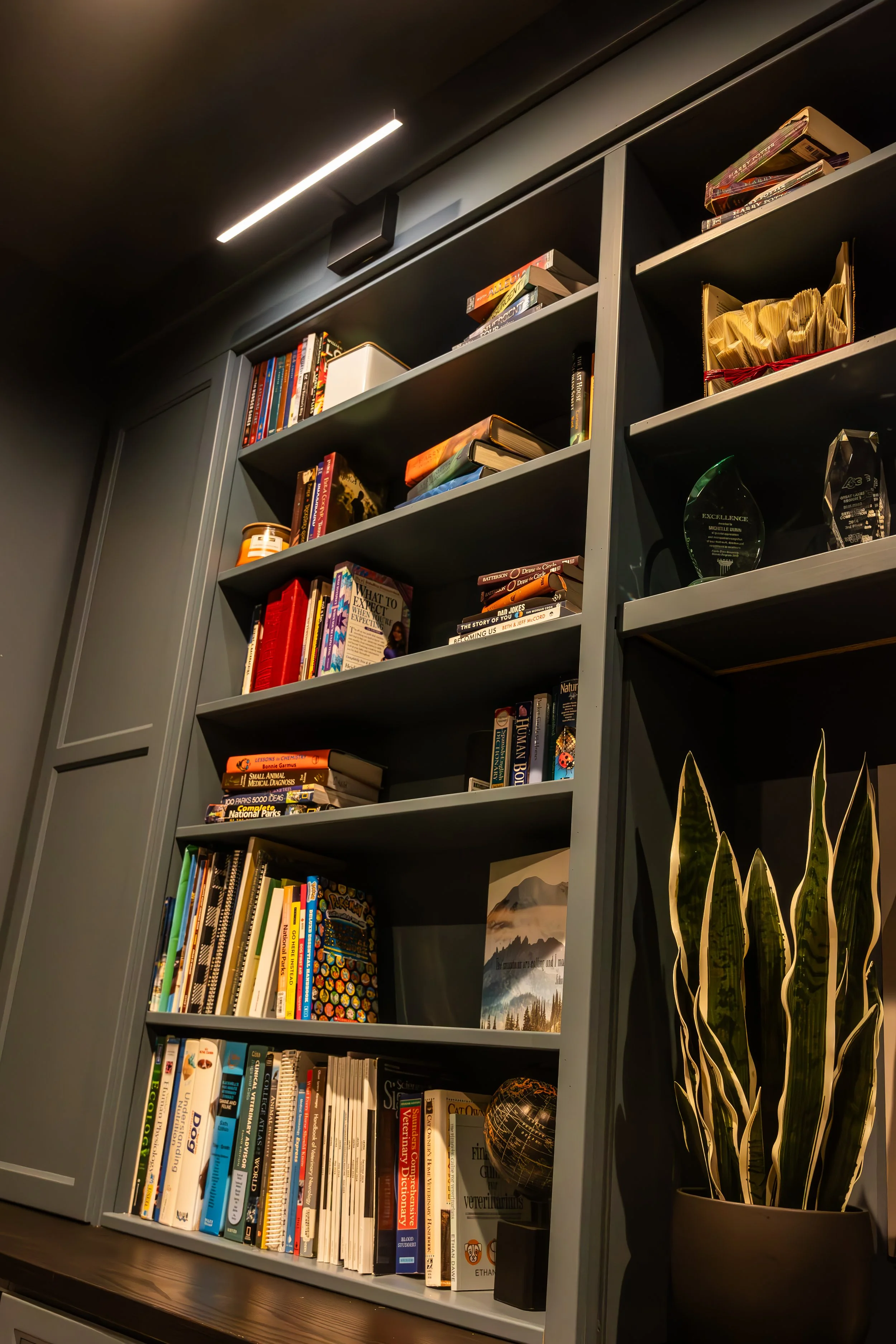 Trailblazer Cabinet Pics-22.jpg