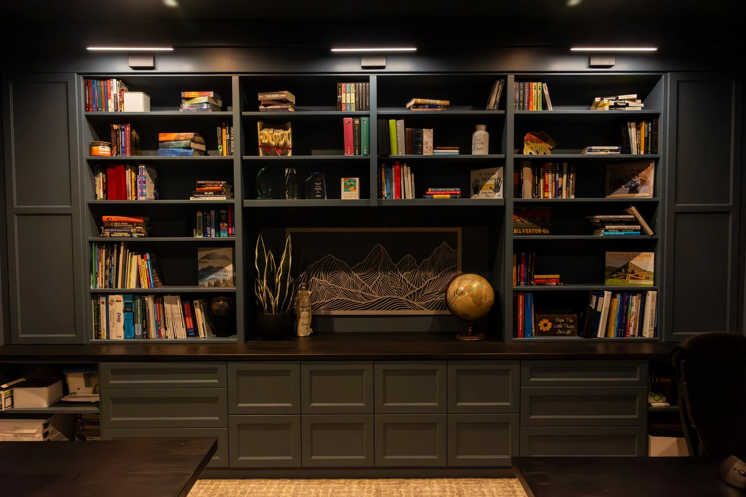 Trailblazer Cabinet Pics-26.jpg